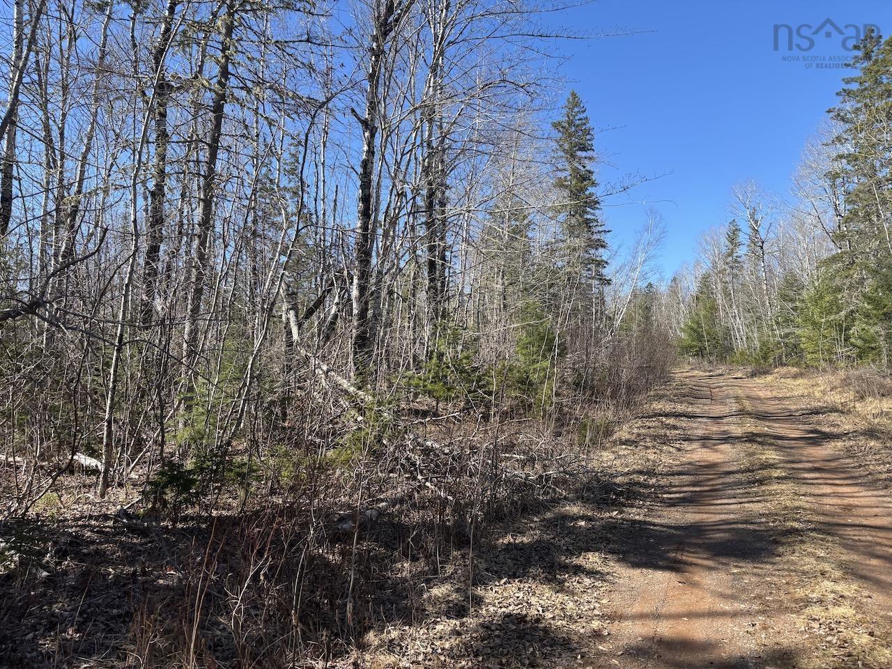 Black Lake, No 104 Highway, Black Lake, NS (MLS 202507659)