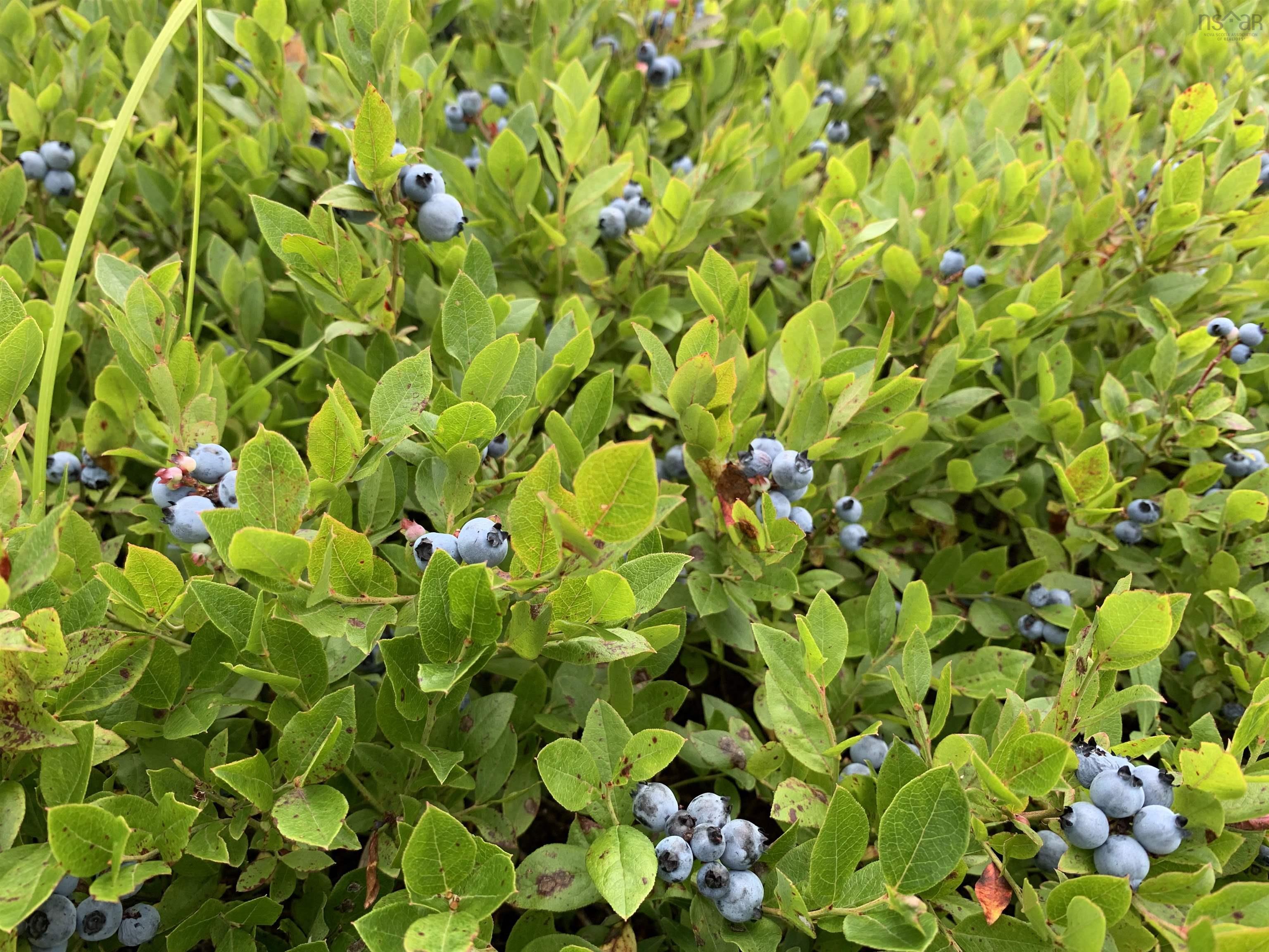 $39,000.00: Lot 5 Acre Palmer Road, Wentworth Valley