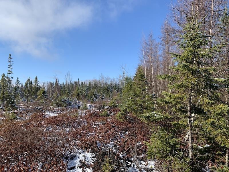 $39,000.00: Lot 5 Acre Palmer Road, Wentworth Valley