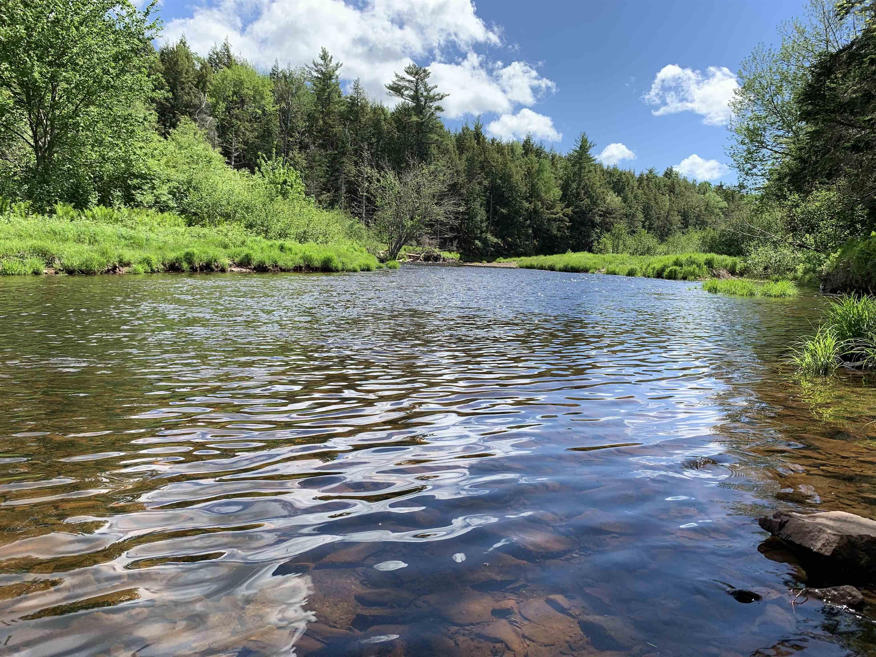 $39,000.00: Lot 5 Acre Palmer Road, Wentworth Valley