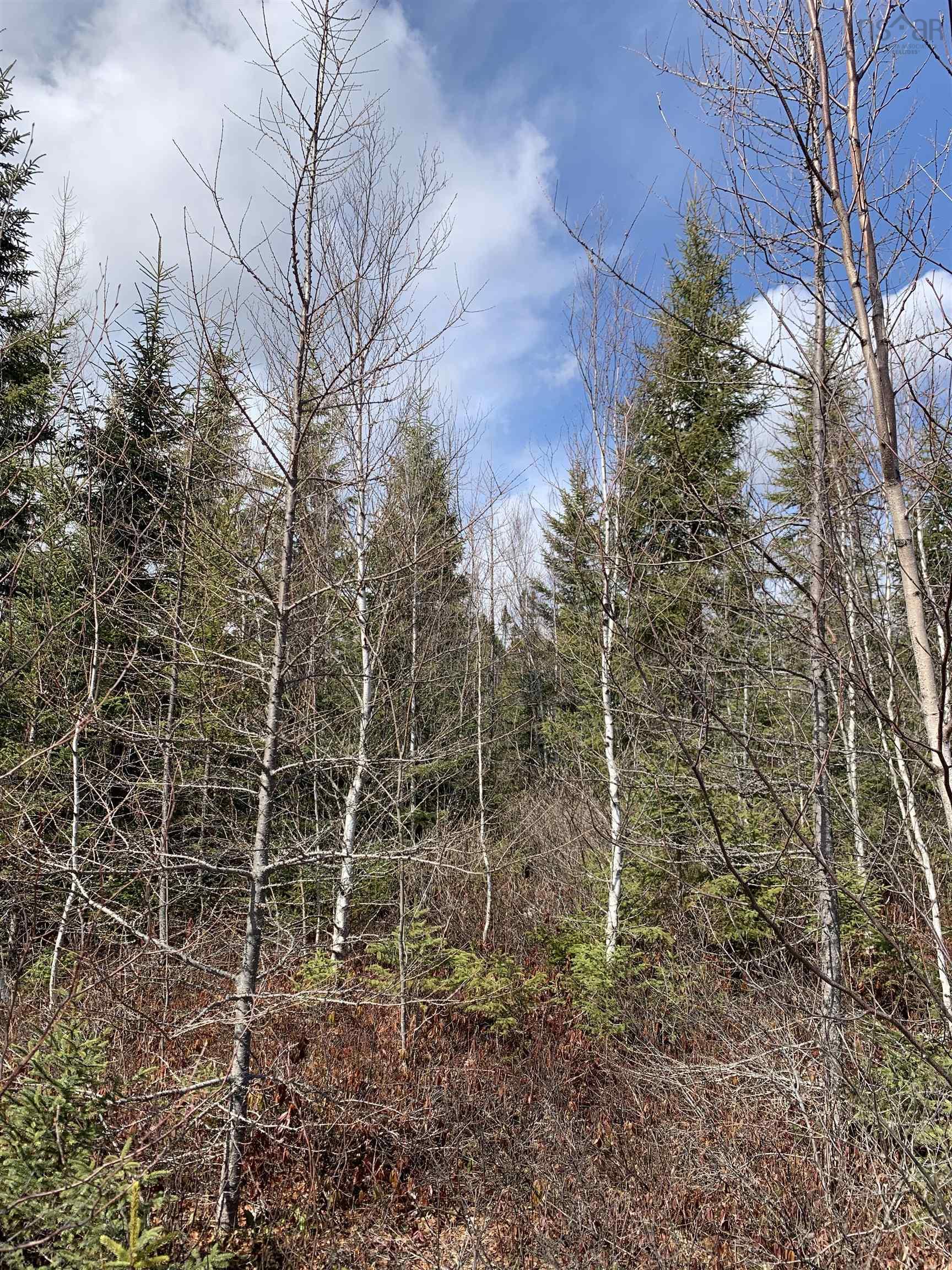 Lot Hunter West Road, Wentworth Valley, NS (MLS 202507664)