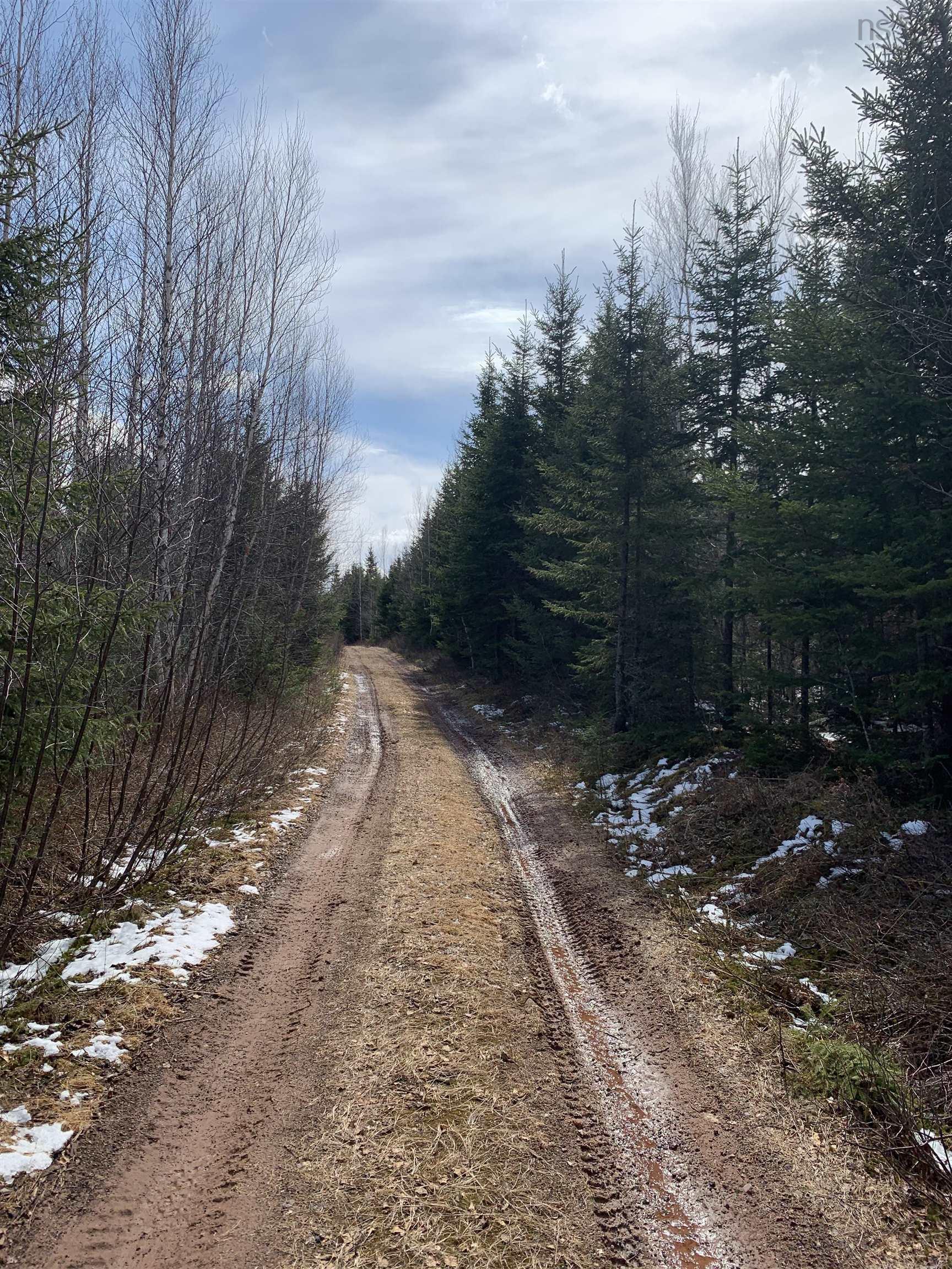 $59,000.00: Lot Hunter West Road, Wentworth Valley