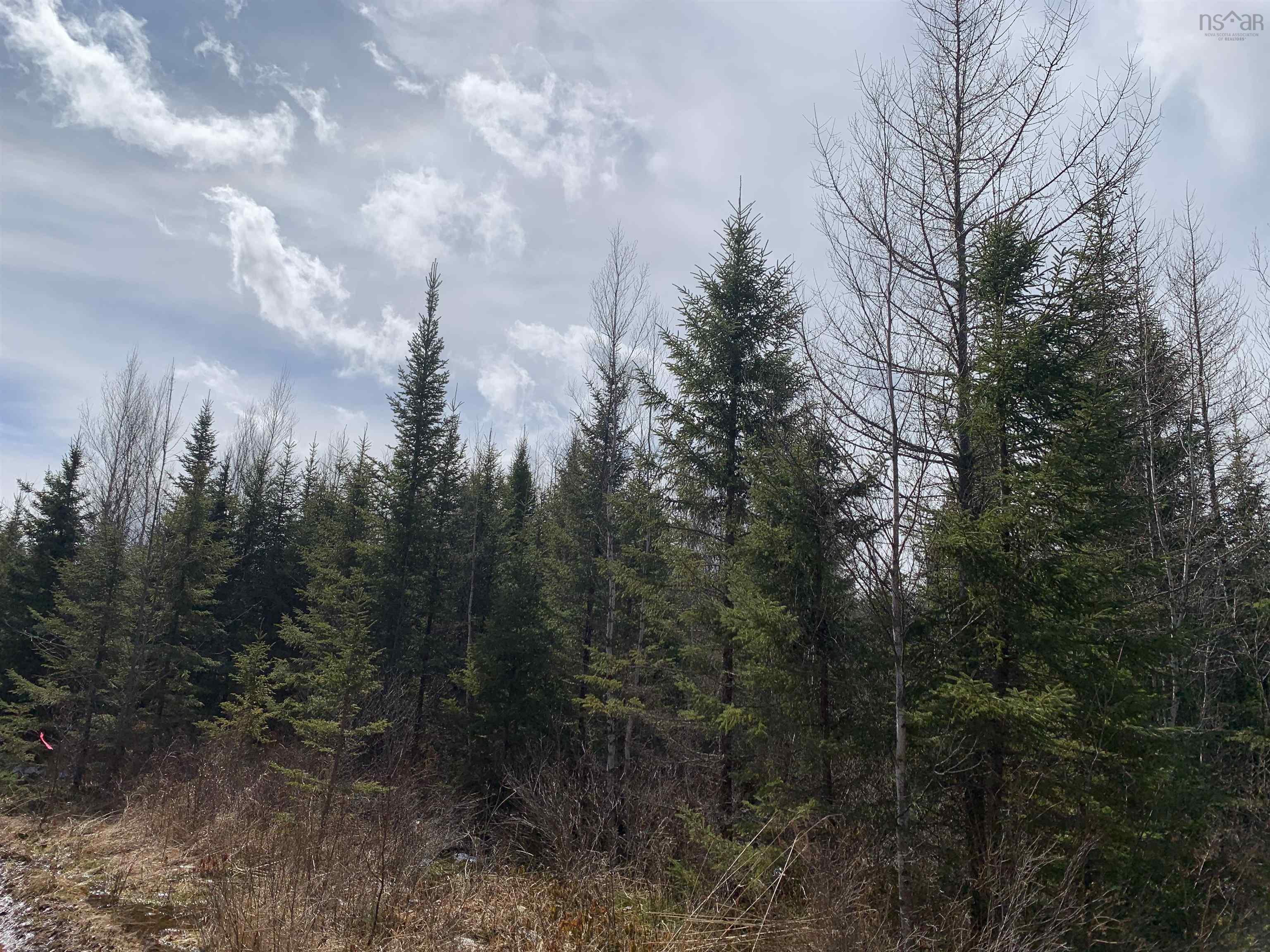 $59,000.00: Lot Hunter West Road, Wentworth Valley