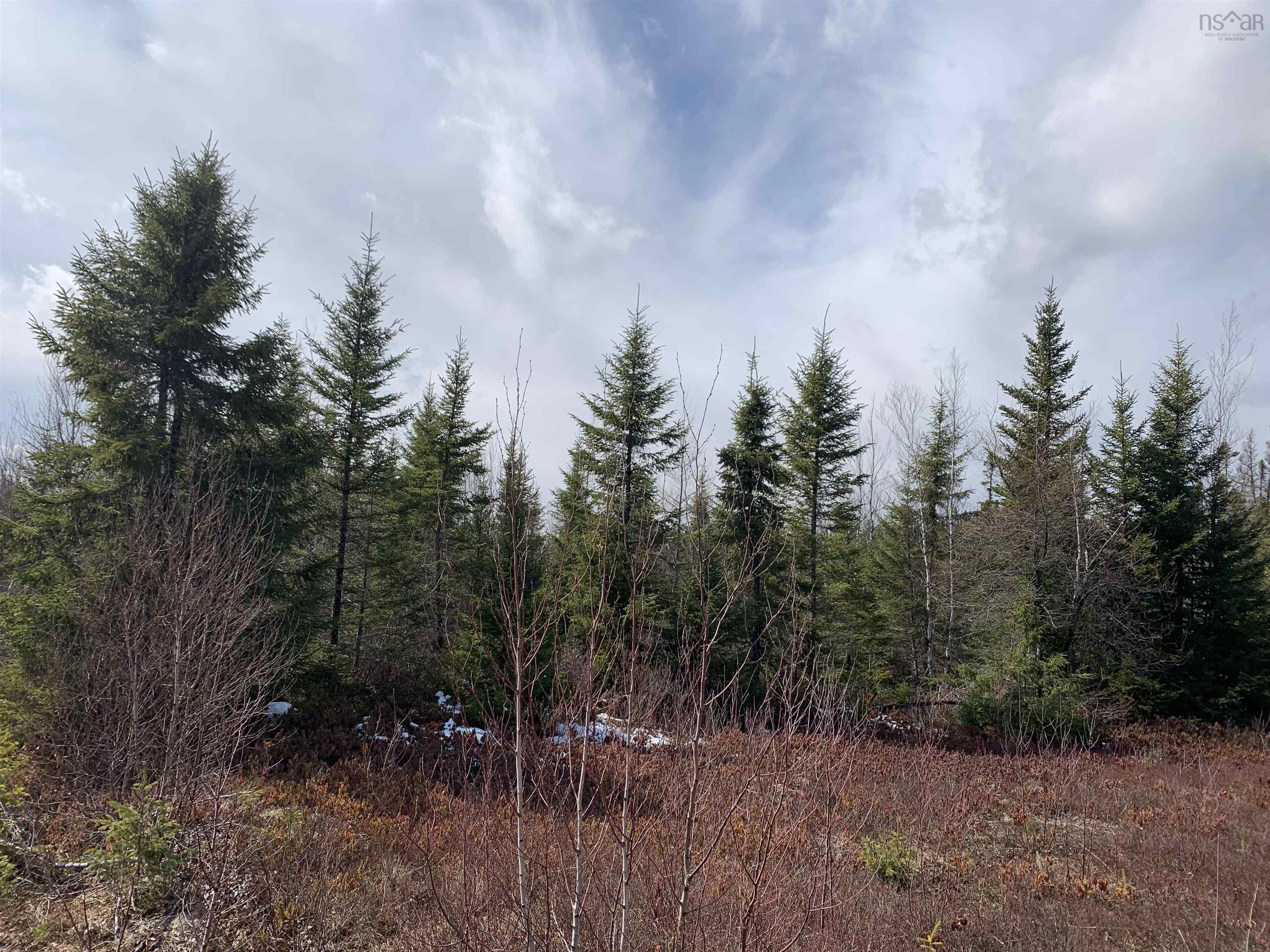 $59,000.00: Lot Hunter West Road, Wentworth Valley