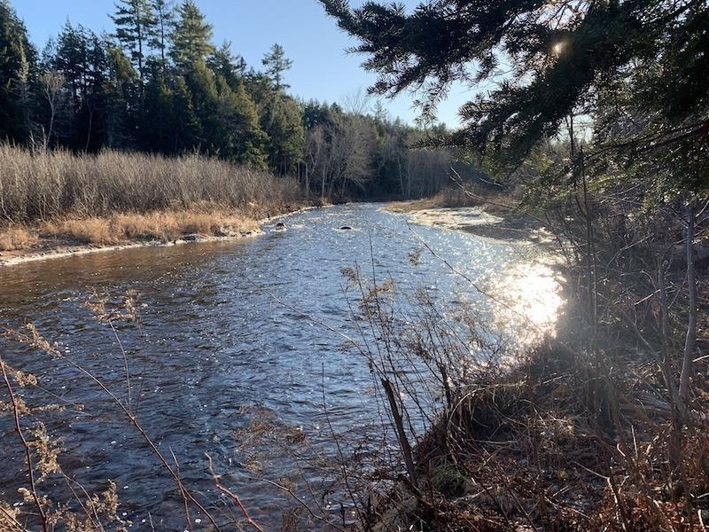 $59,000.00: Lot Hunter West Road, Wentworth Valley