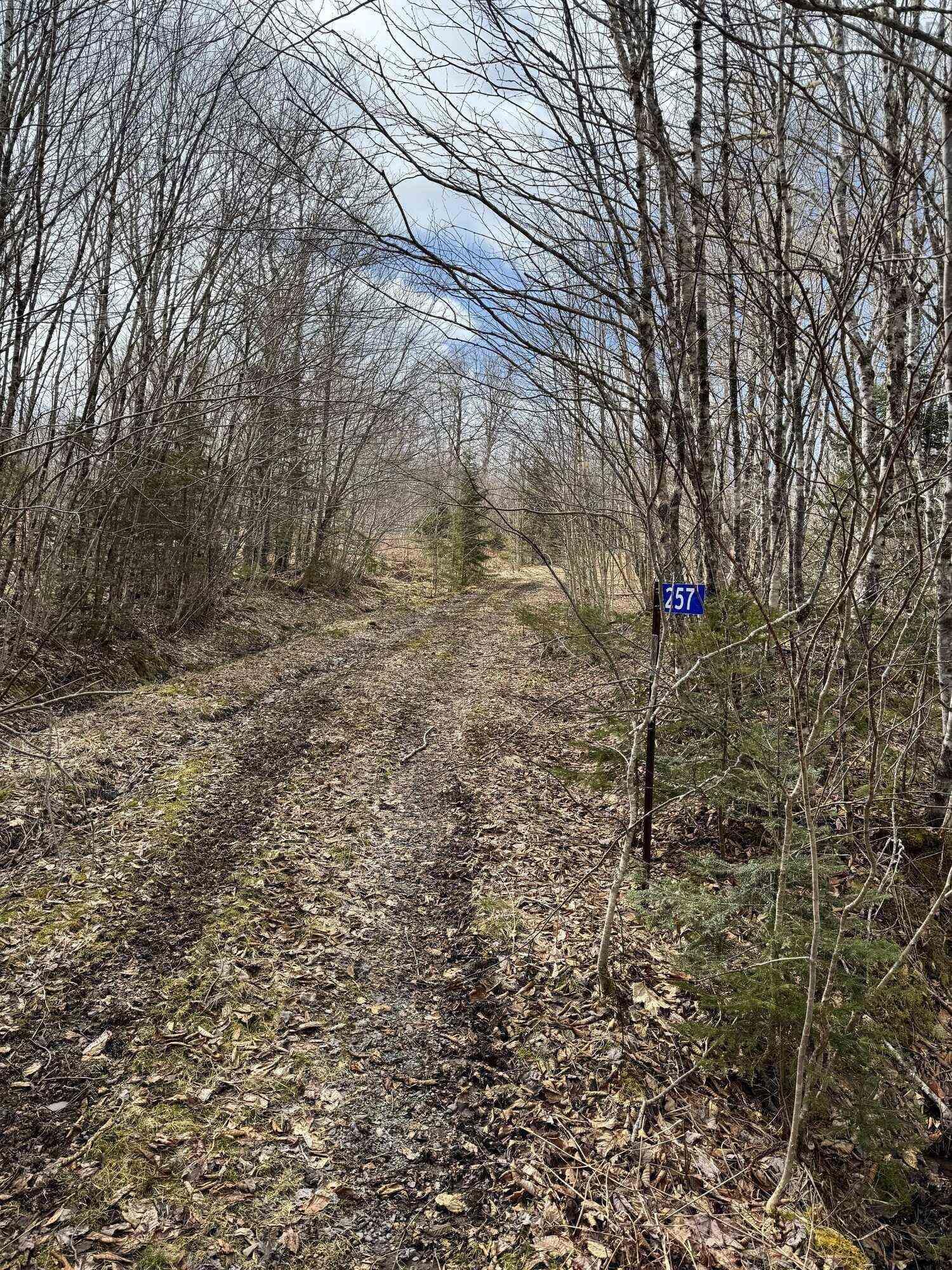 $41,500.00: 257 Birch Road, Guysborough