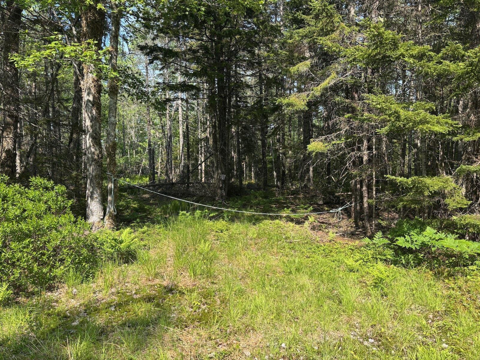 $62,500.00: Lot 6 John Cook Road, Gardners Mills