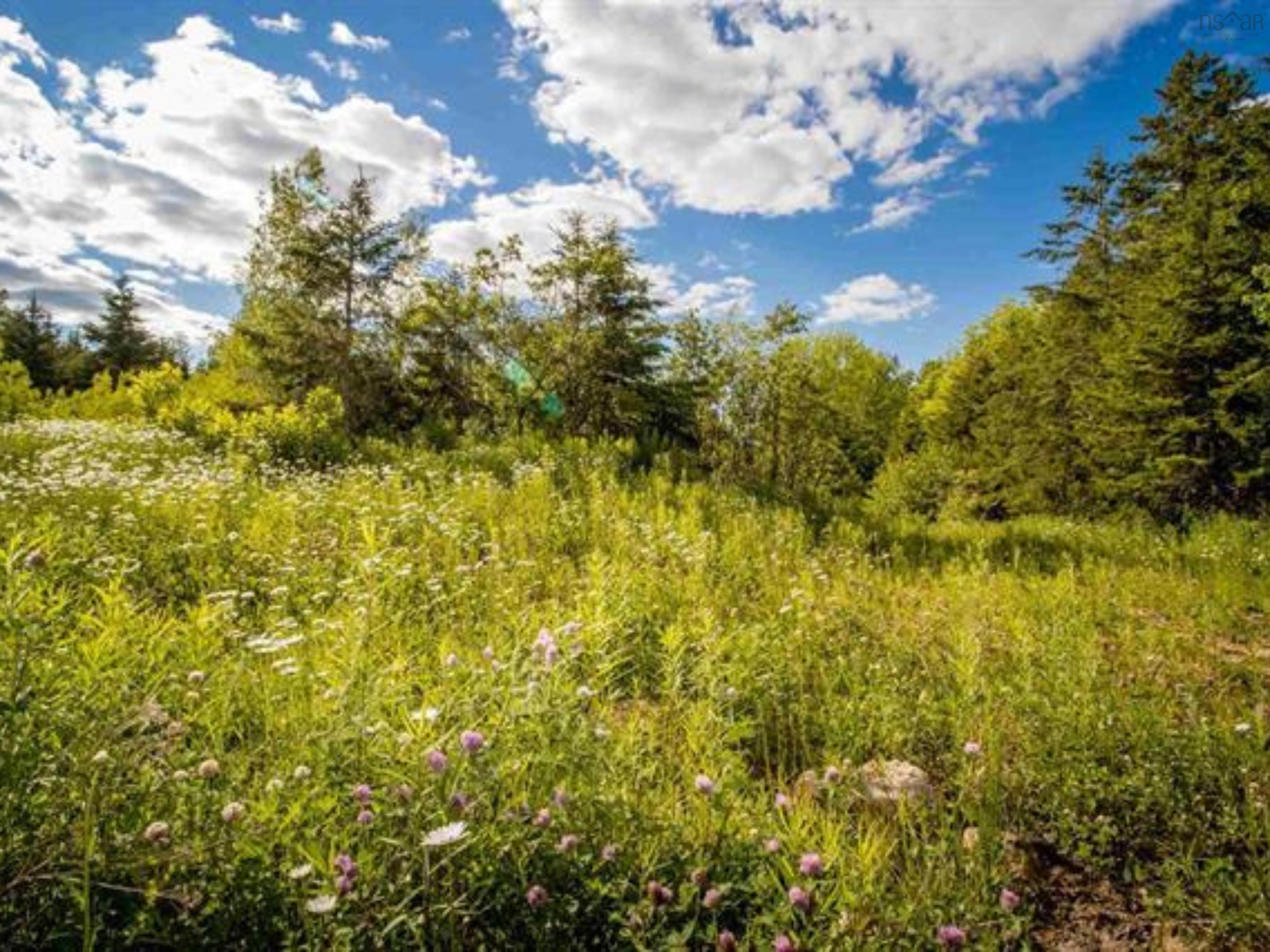 $40,000.00: Lot A3 Aylesford Road, Lake Paul