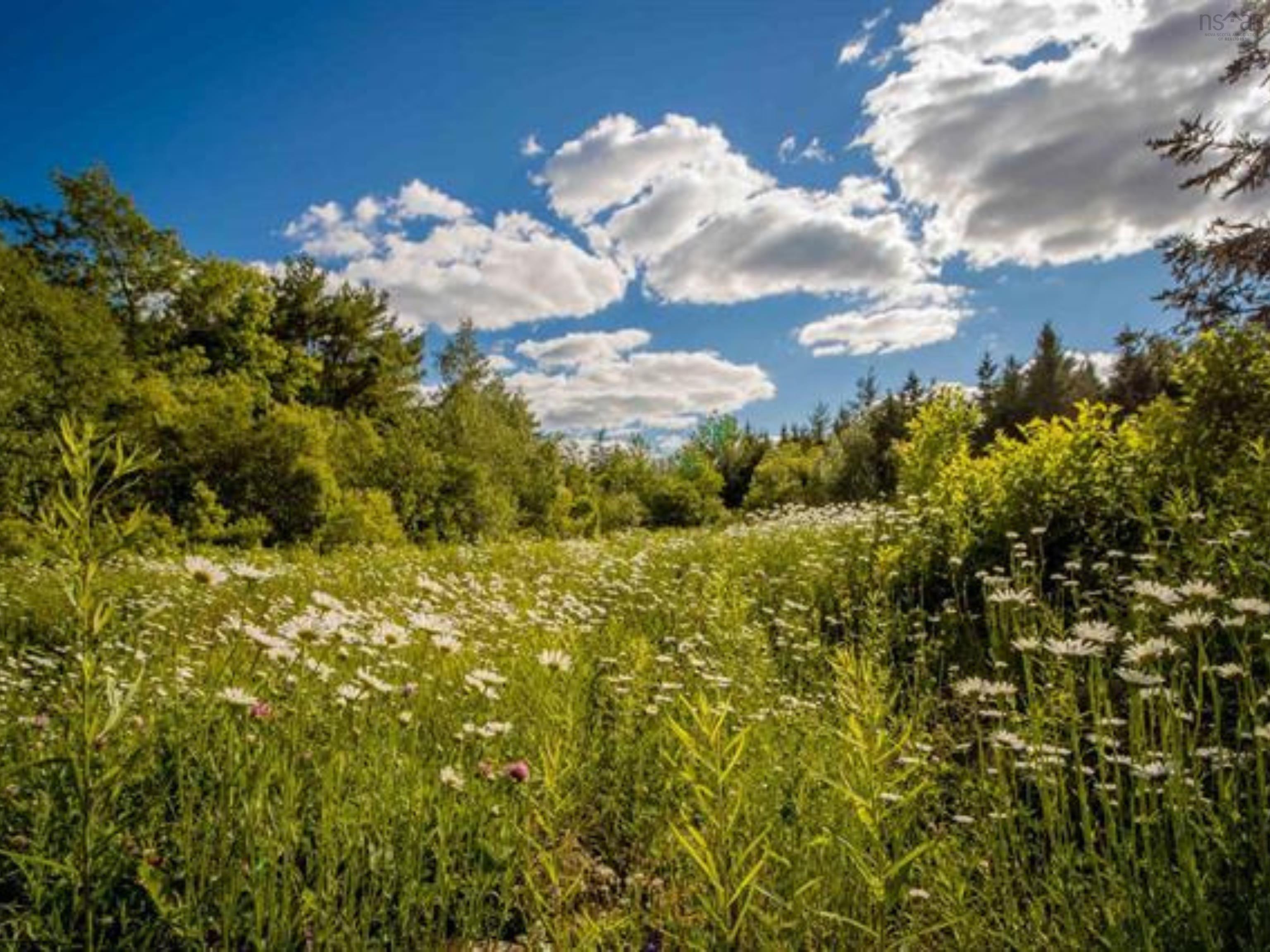 $40,000.00: Lot A5 Aylesford Road, Lake Paul