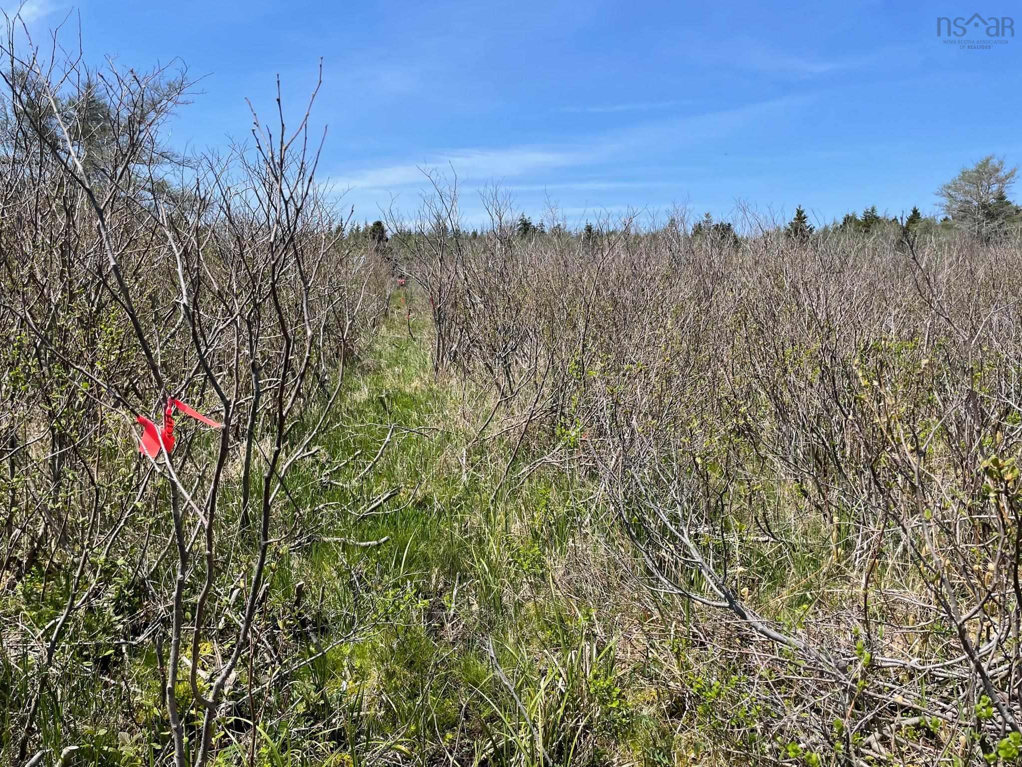 $88,700.00: Lot 24-8 Crooked Lake Road, Framboise