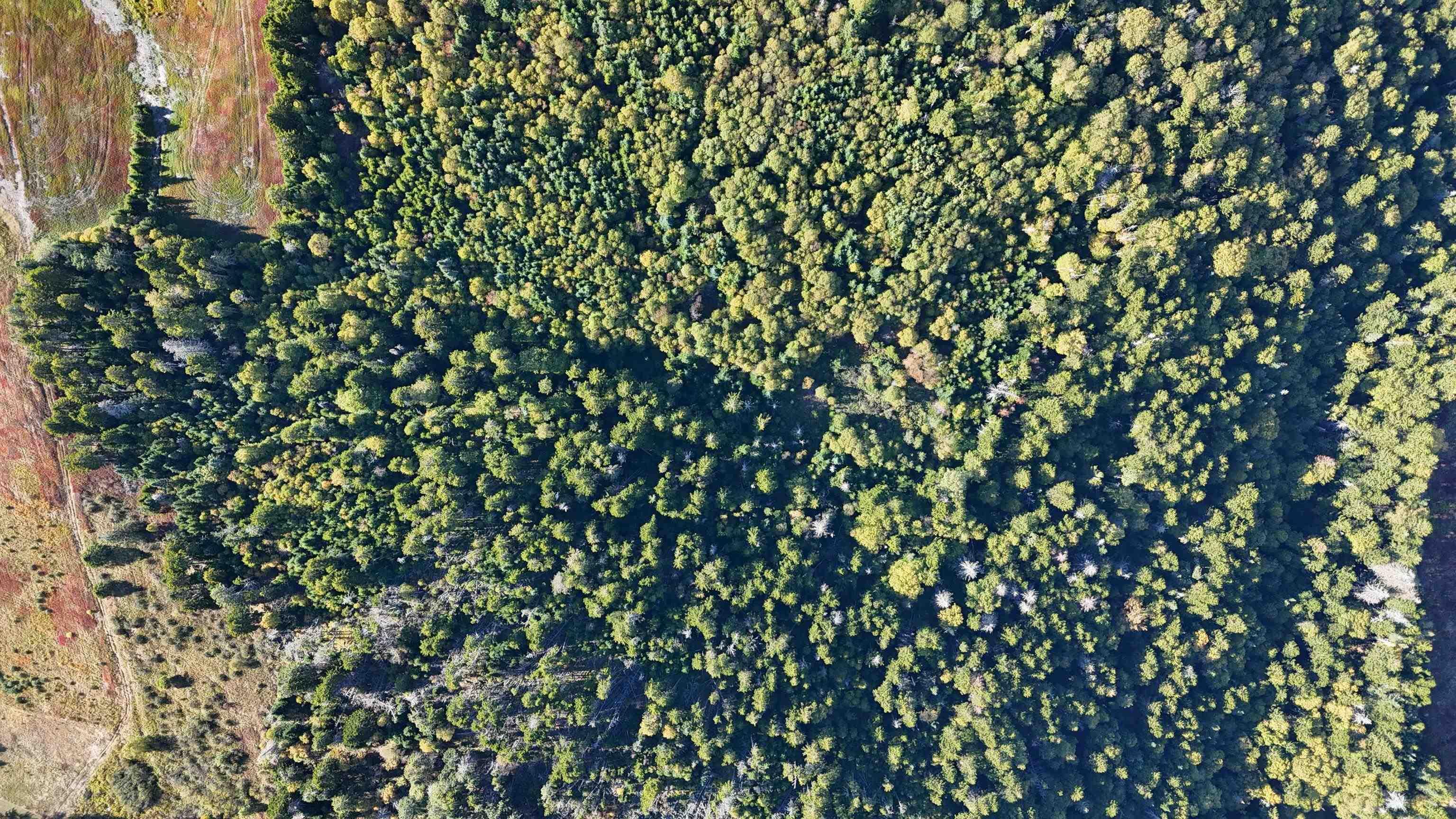 $94,900.00: N/A 209 Highway, Wards Brook