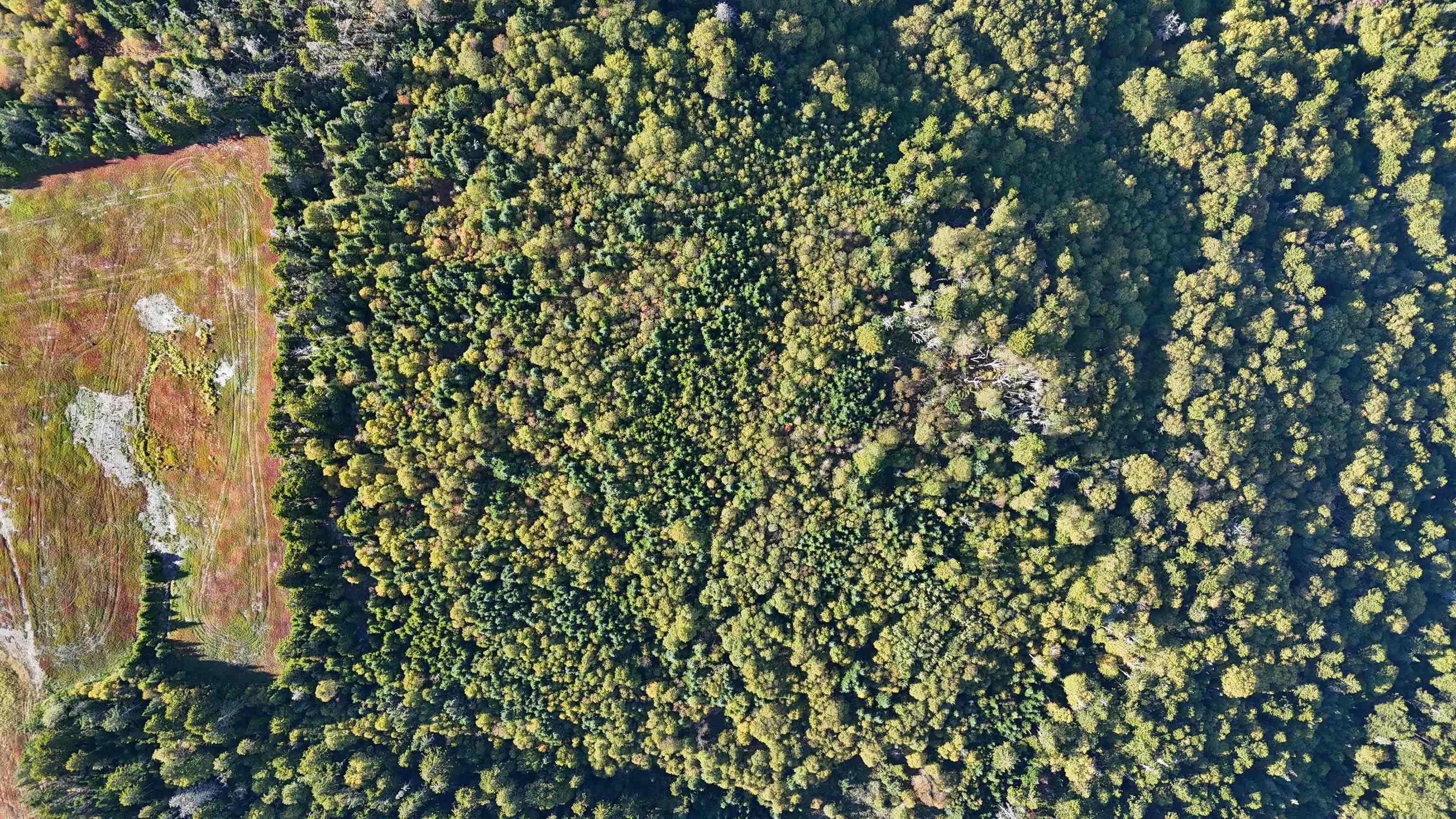 $94,900.00: N/A 209 Highway, Wards Brook