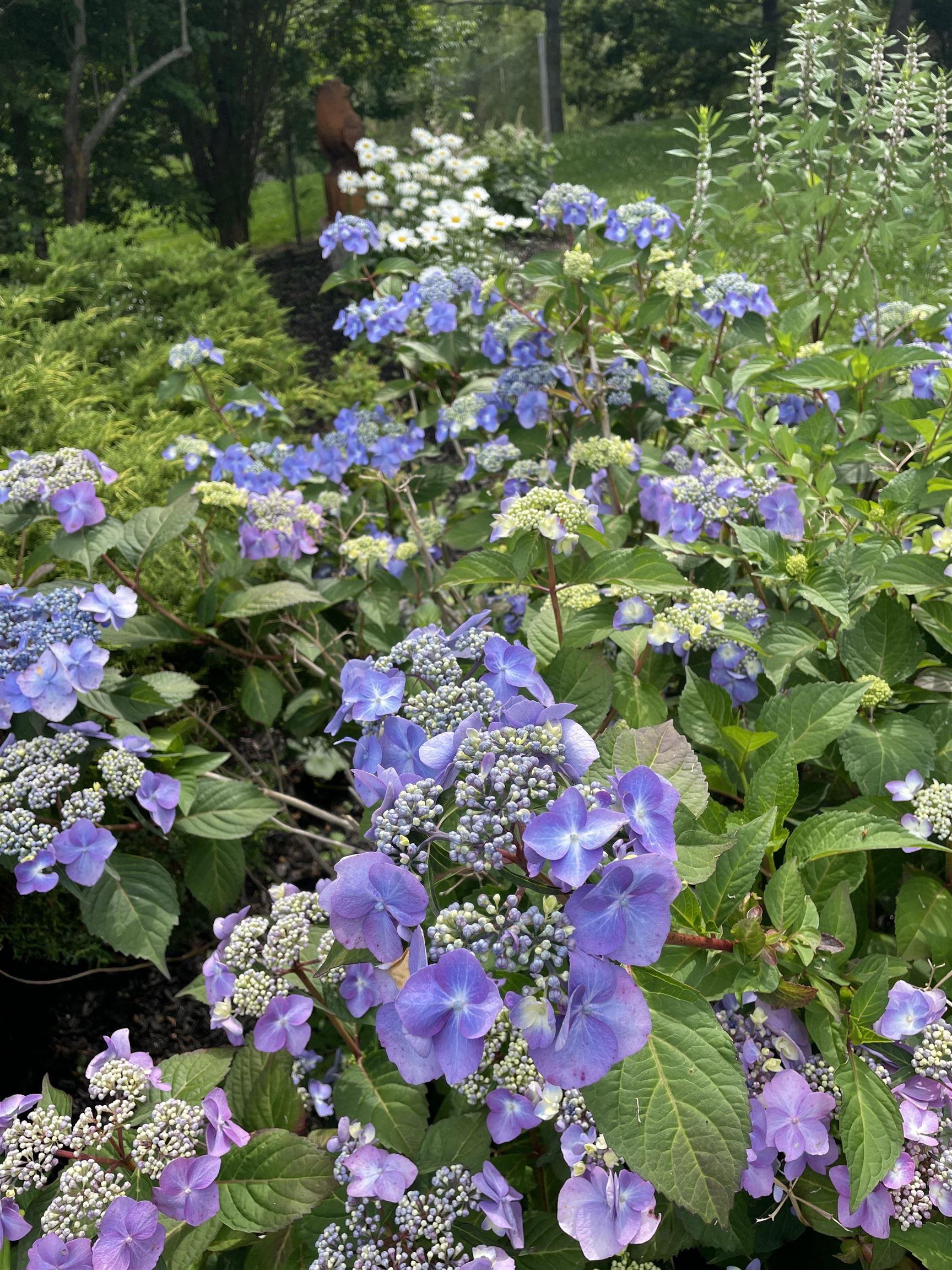 $2,950,000.00: 116 Princes Inlet Drive, Martins Brook