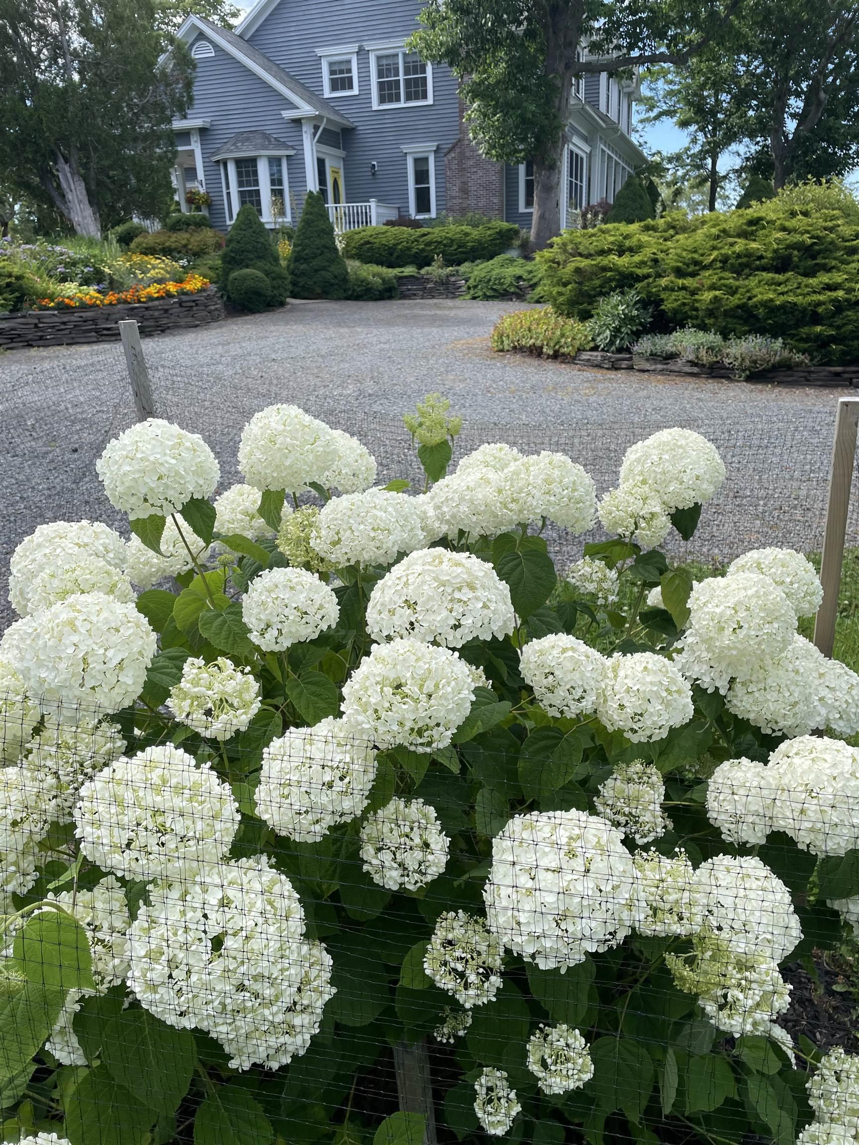 $2,950,000.00: 116 Princes Inlet Drive, Martins Brook