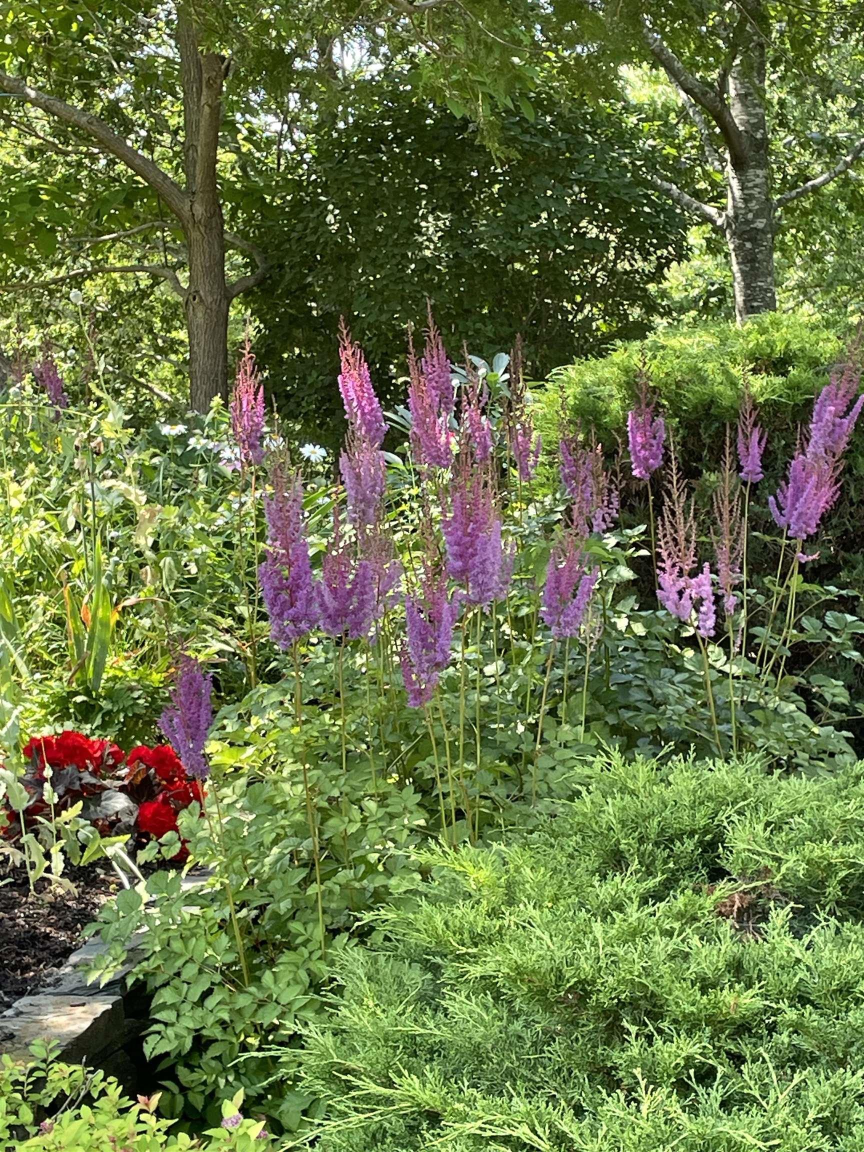 $2,950,000.00: 116 Princes Inlet Drive, Martins Brook