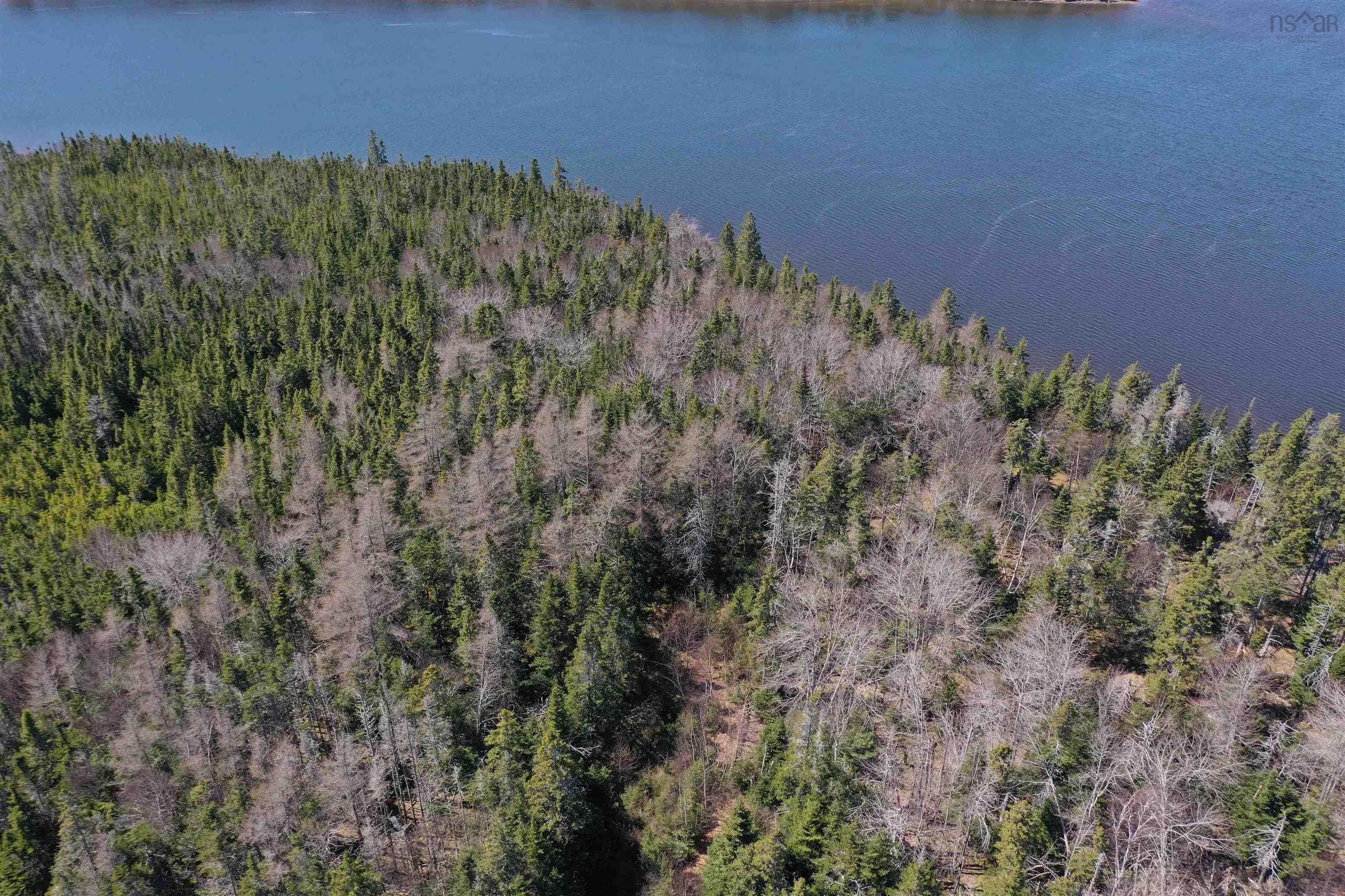 $89,000.00: 57 Orion Crescent, Walkerville