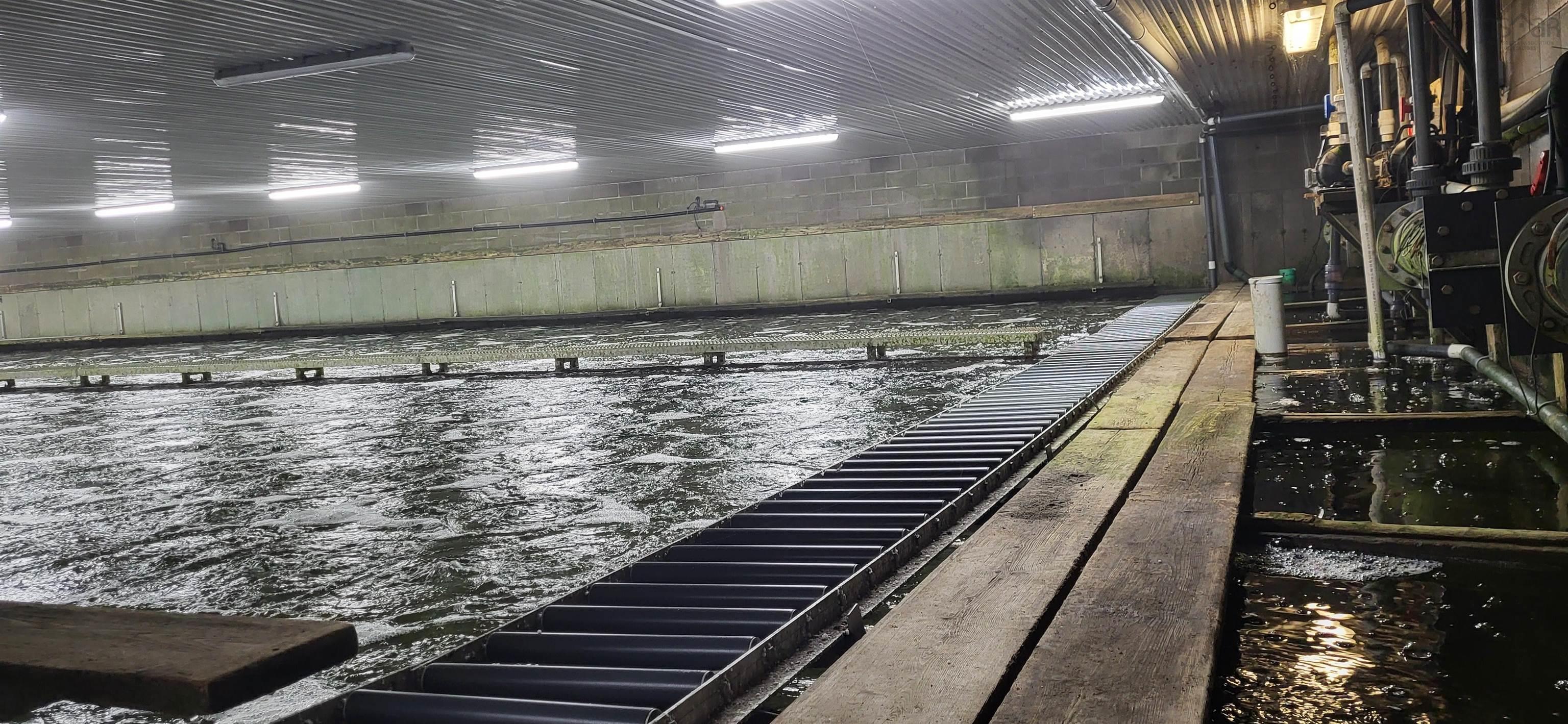 $900,000.00: 9095-9087-9101 Highway 1 Meteghan River,, Meteghan River