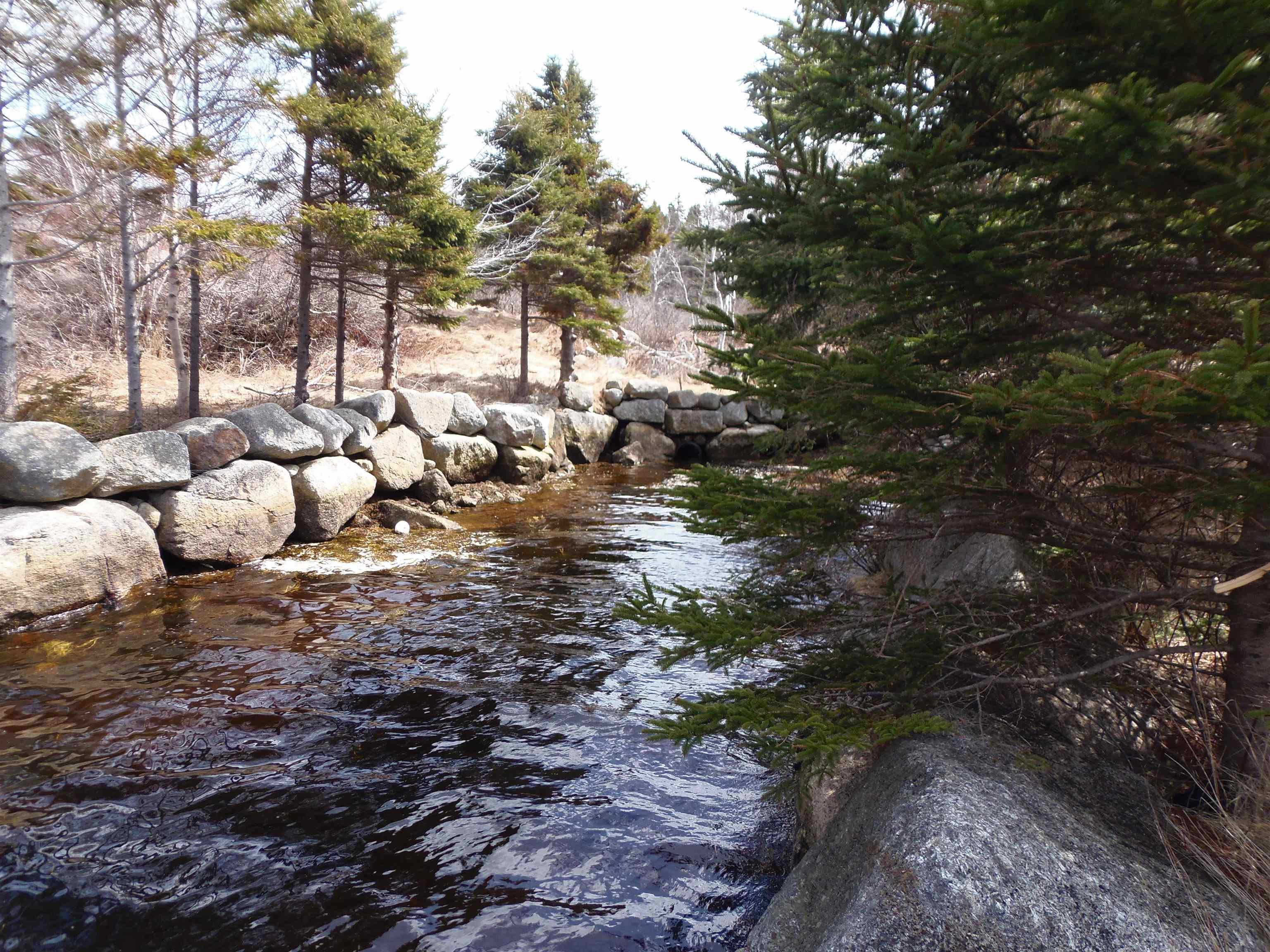 Lot Z1,Xc-Ab Back Bay Road, Prospect Bay, NS (MLS 202508192)