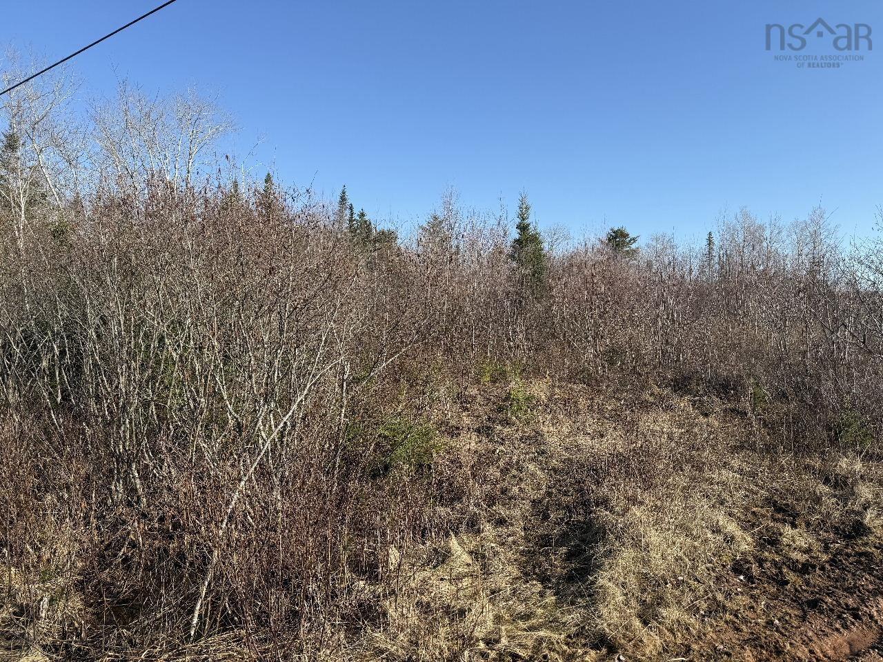 $32,500.00: Lot 7 Hickory Lane, Rines Creek