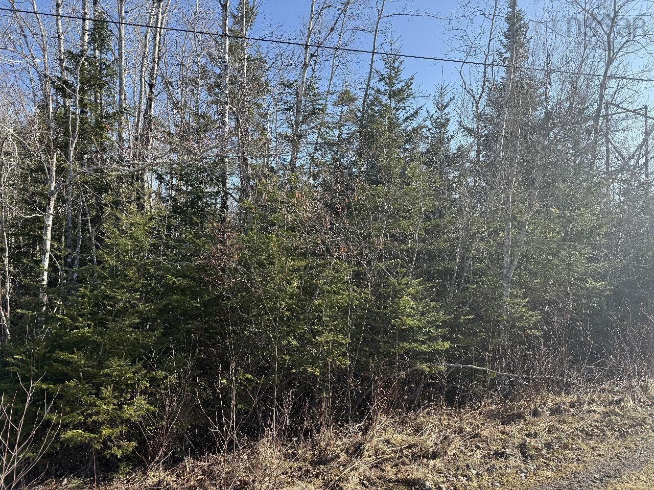 $32,500.00: Lot 7 Hickory Lane, Rines Creek