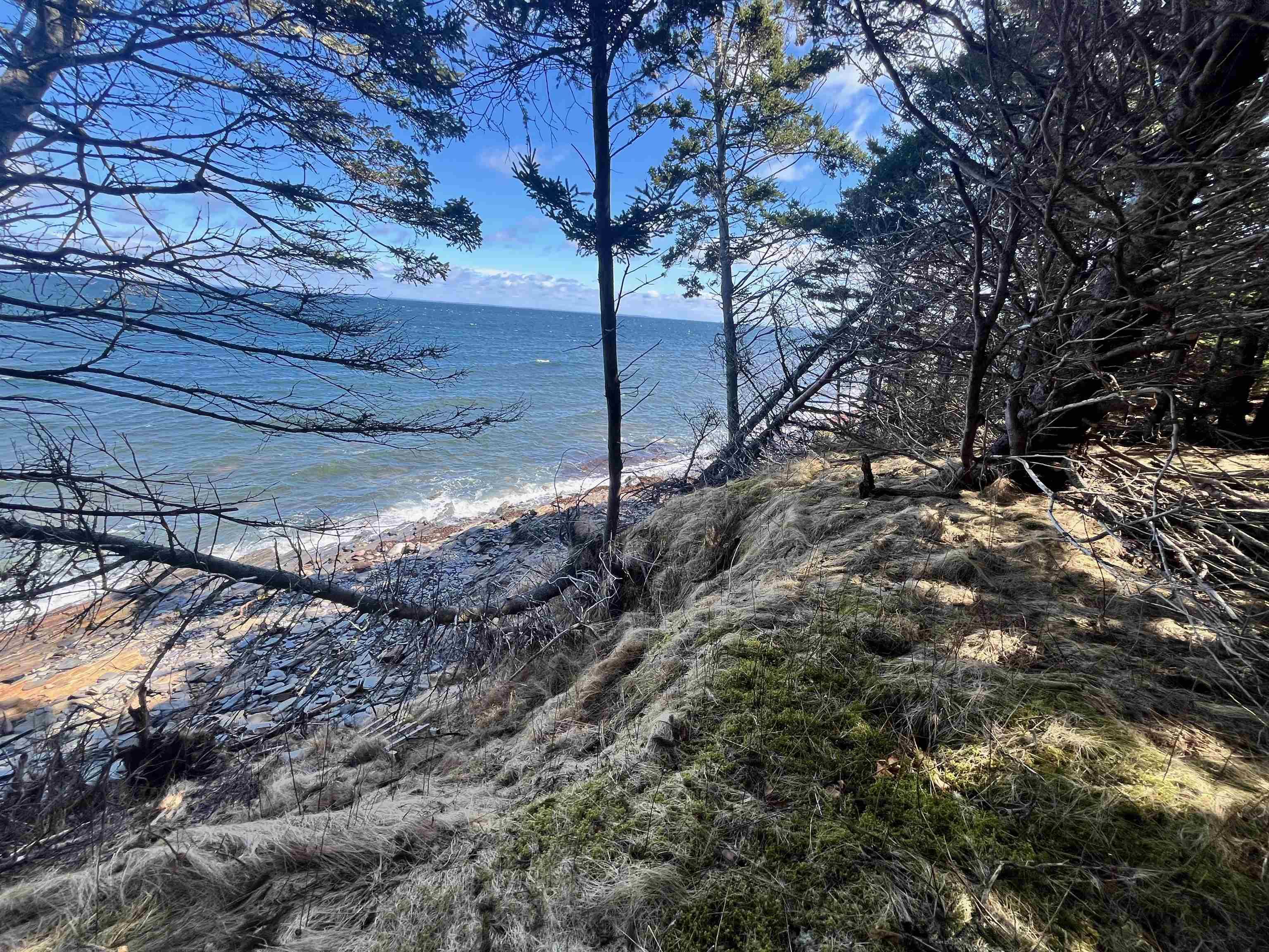 $439,500.00: 257 Half Island Cove Road, Half Island Cove