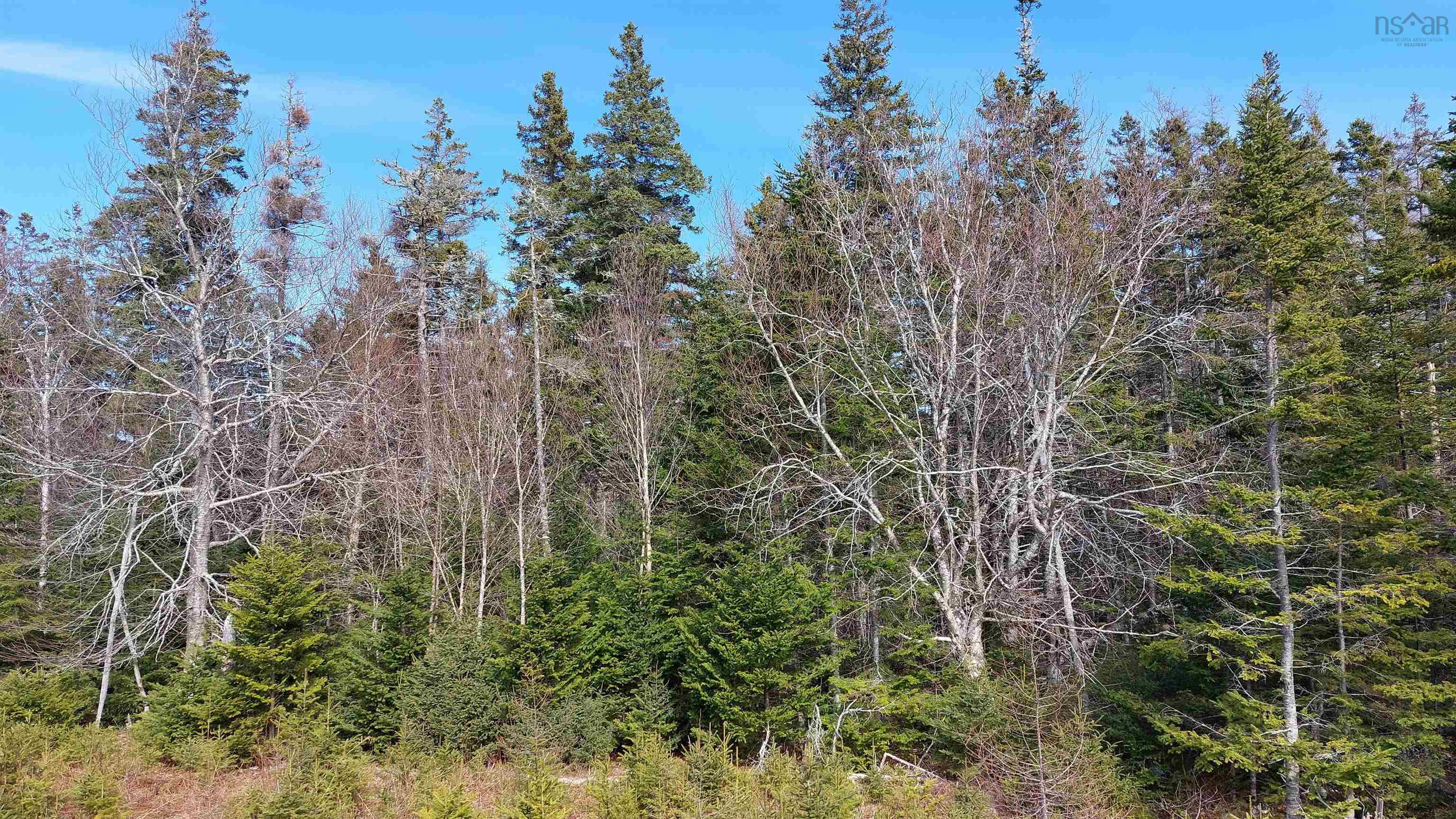 $49,000.00: Lot 53 Peter Sosna Dr, Hay Cove