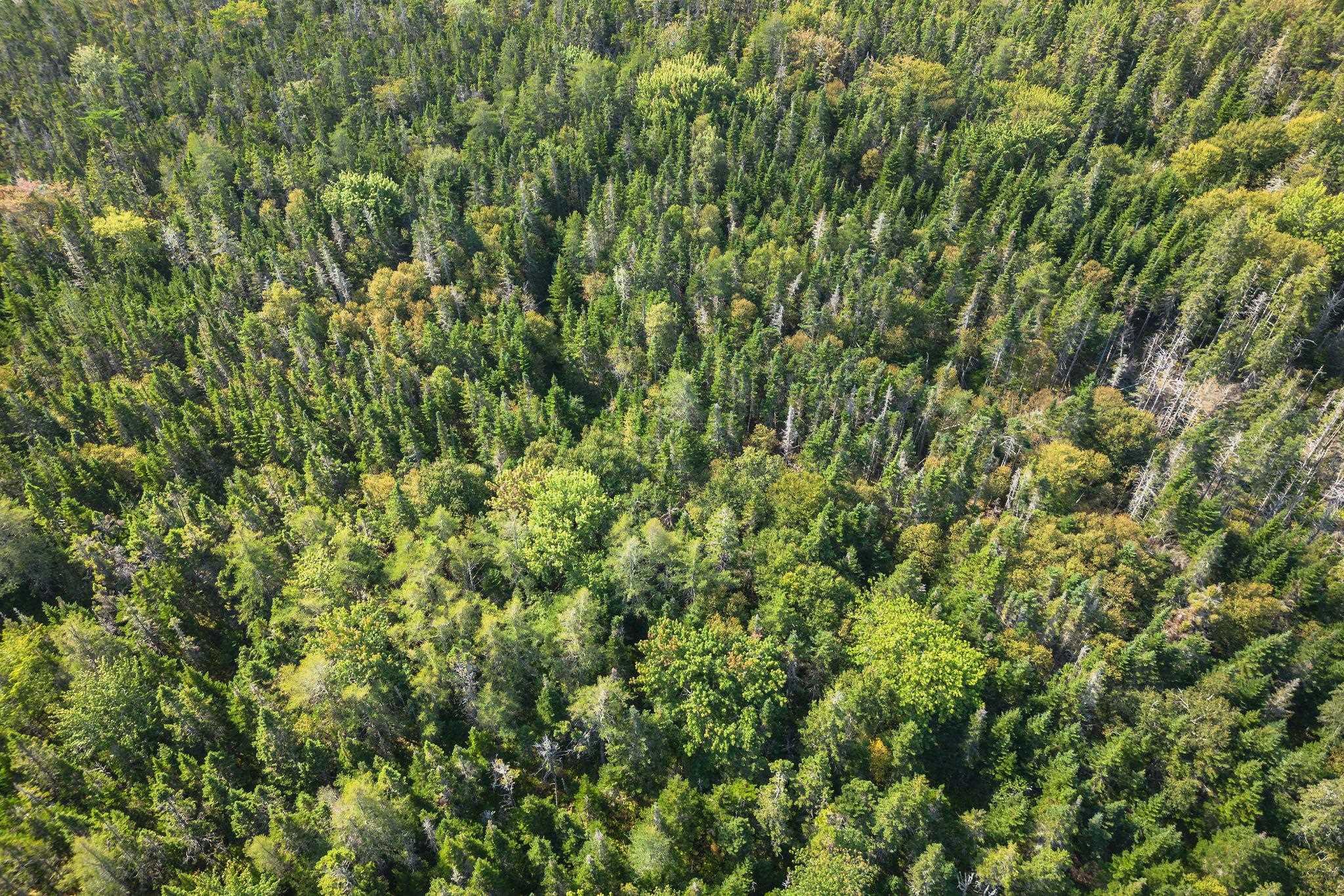 $49,000.00: Lot 53 Peter Sosna Dr, Hay Cove