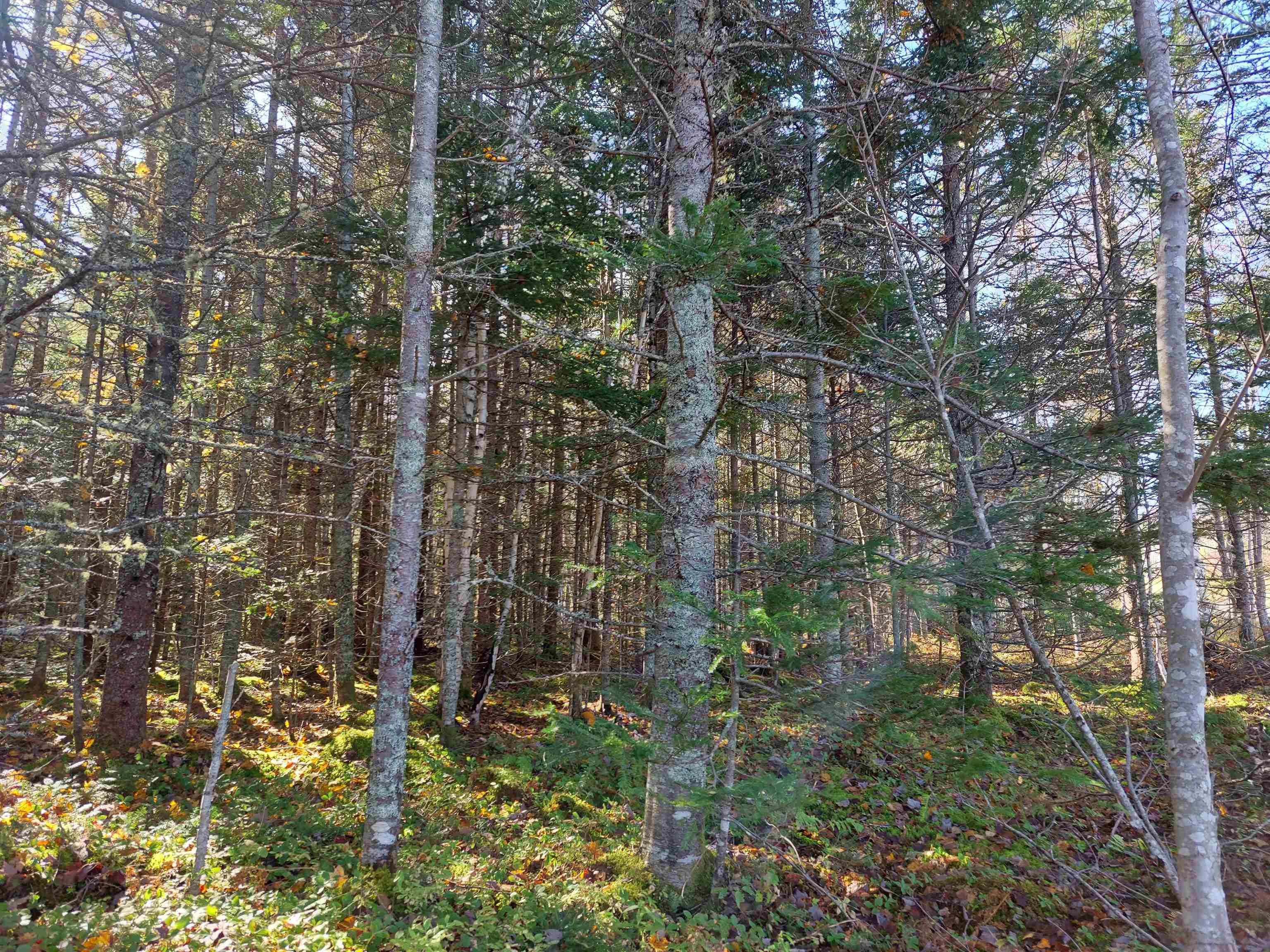 $26,500.00: Lot 3 Tranquil Shore Road, West Bay