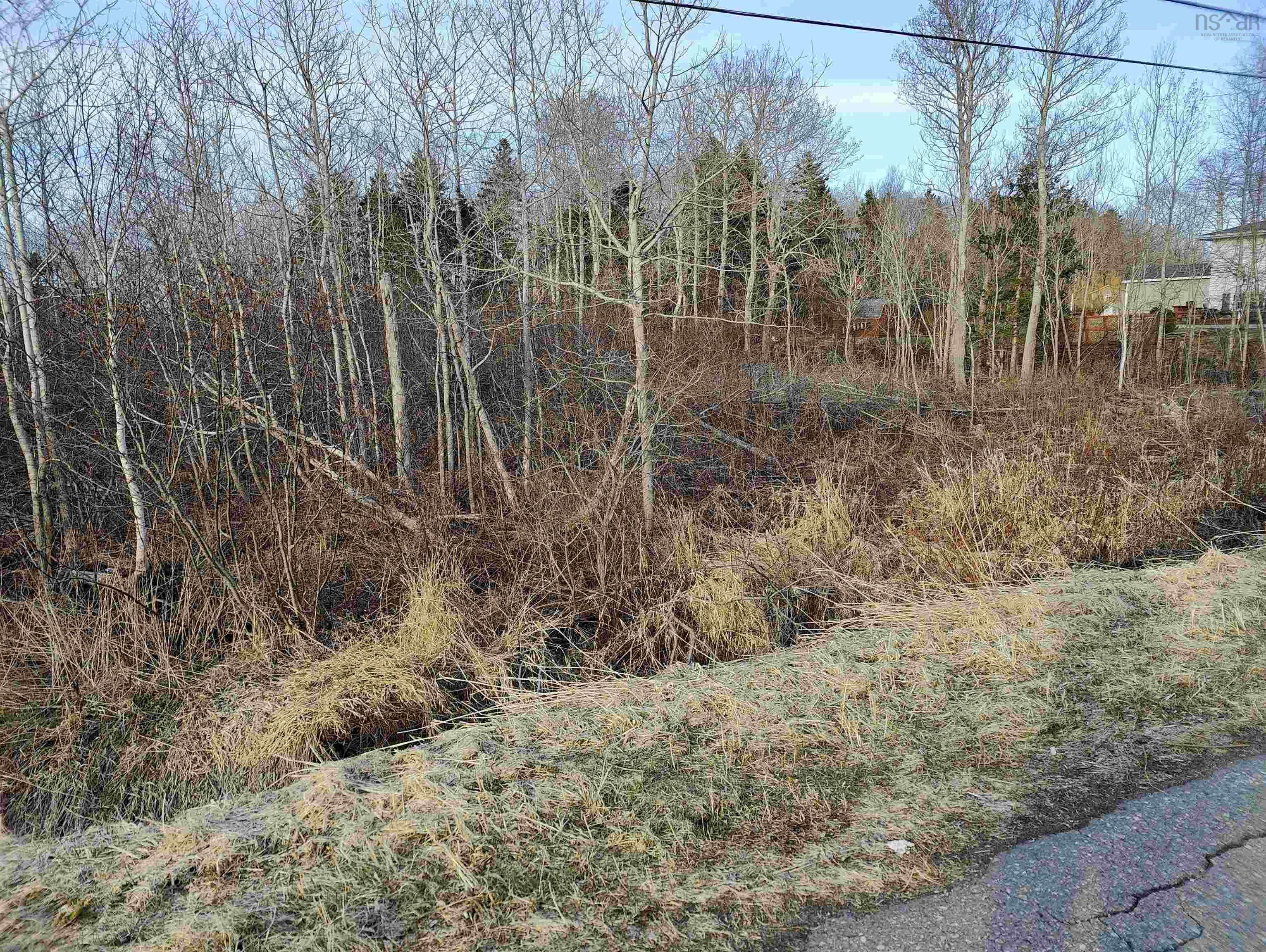 $22,500.00: Lot 3 Stewood Drive, Howie Centre