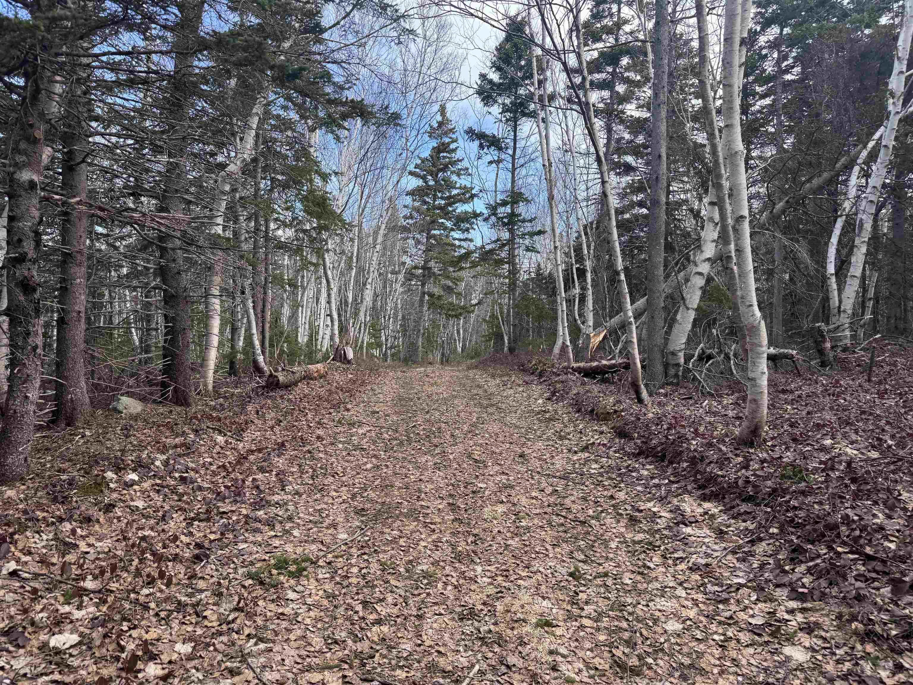 $160,000.00: Cabot Trail, Ingonish Ferry