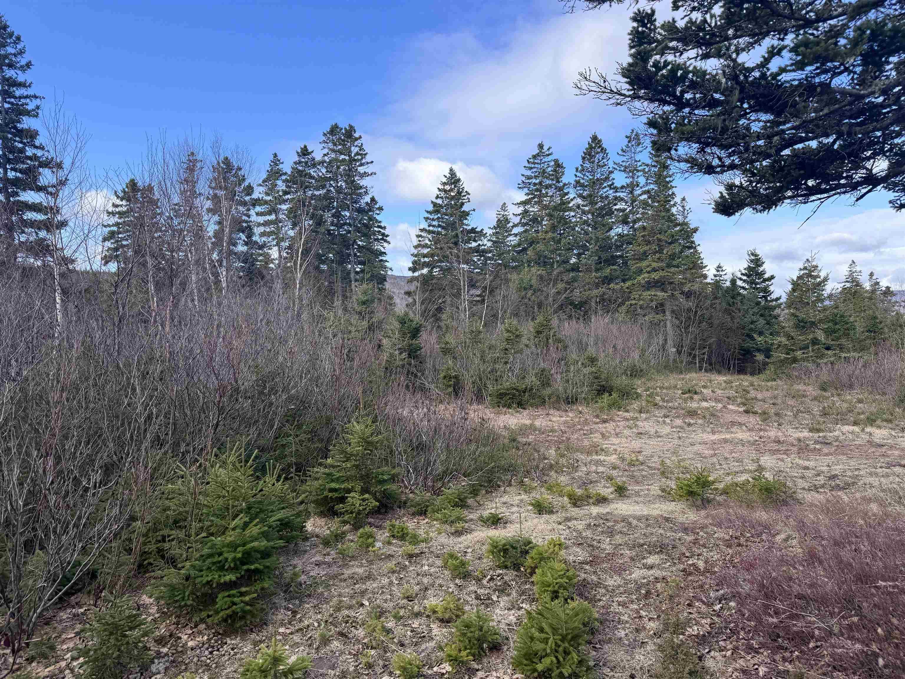 $160,000.00: Cabot Trail, Ingonish Ferry