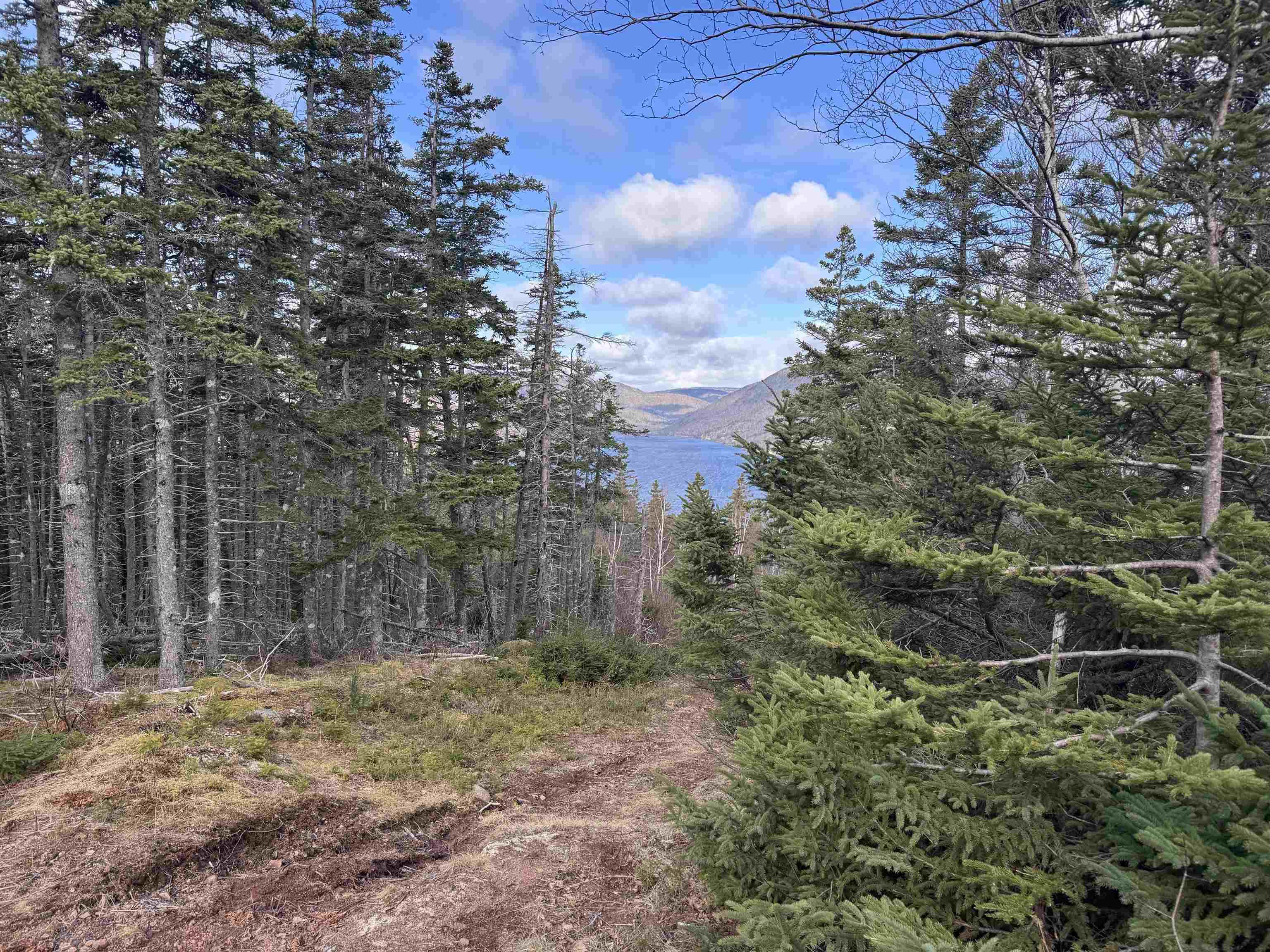 $160,000.00: Cabot Trail, Ingonish Ferry