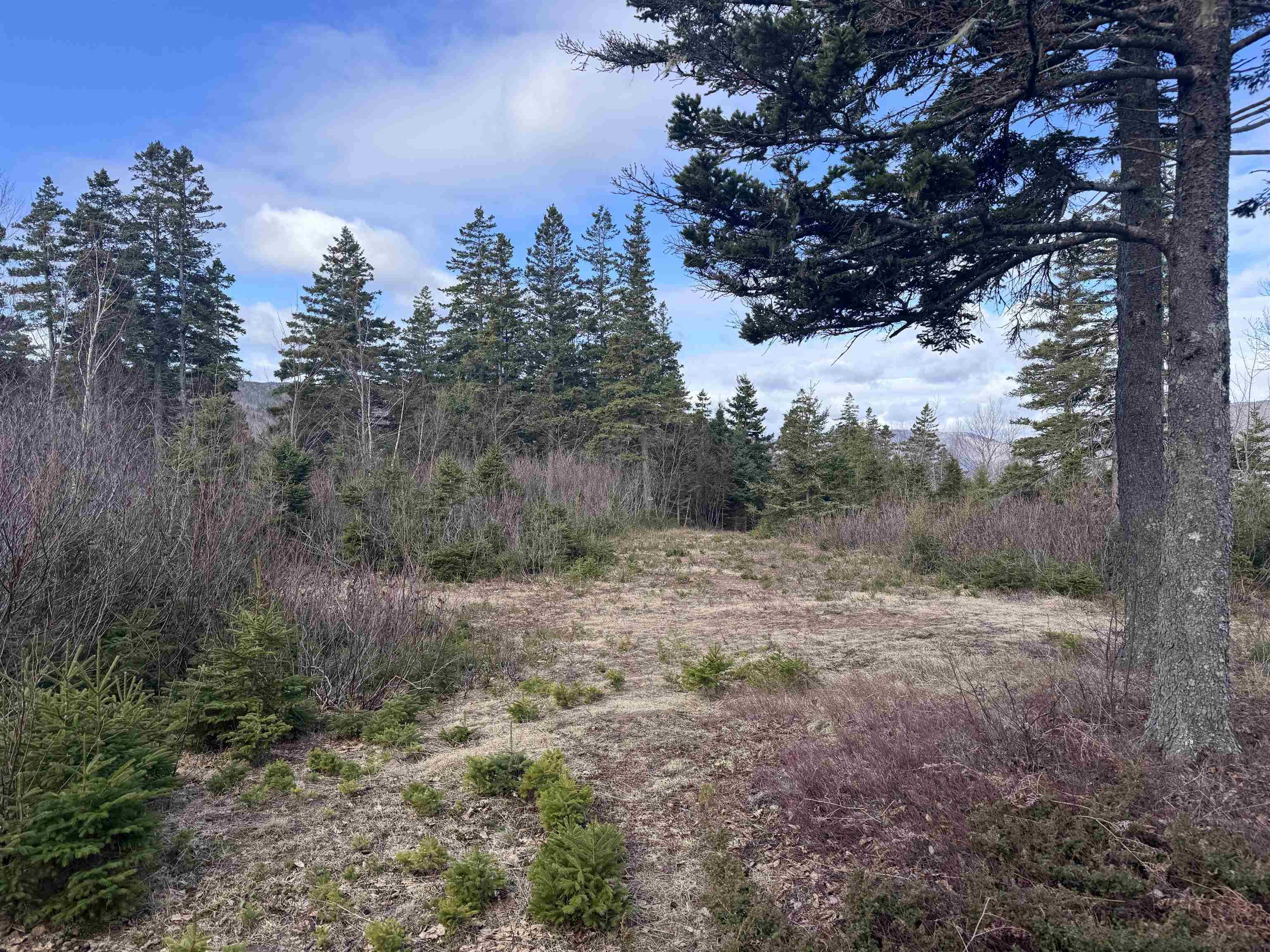 $160,000.00: Cabot Trail, Ingonish Ferry