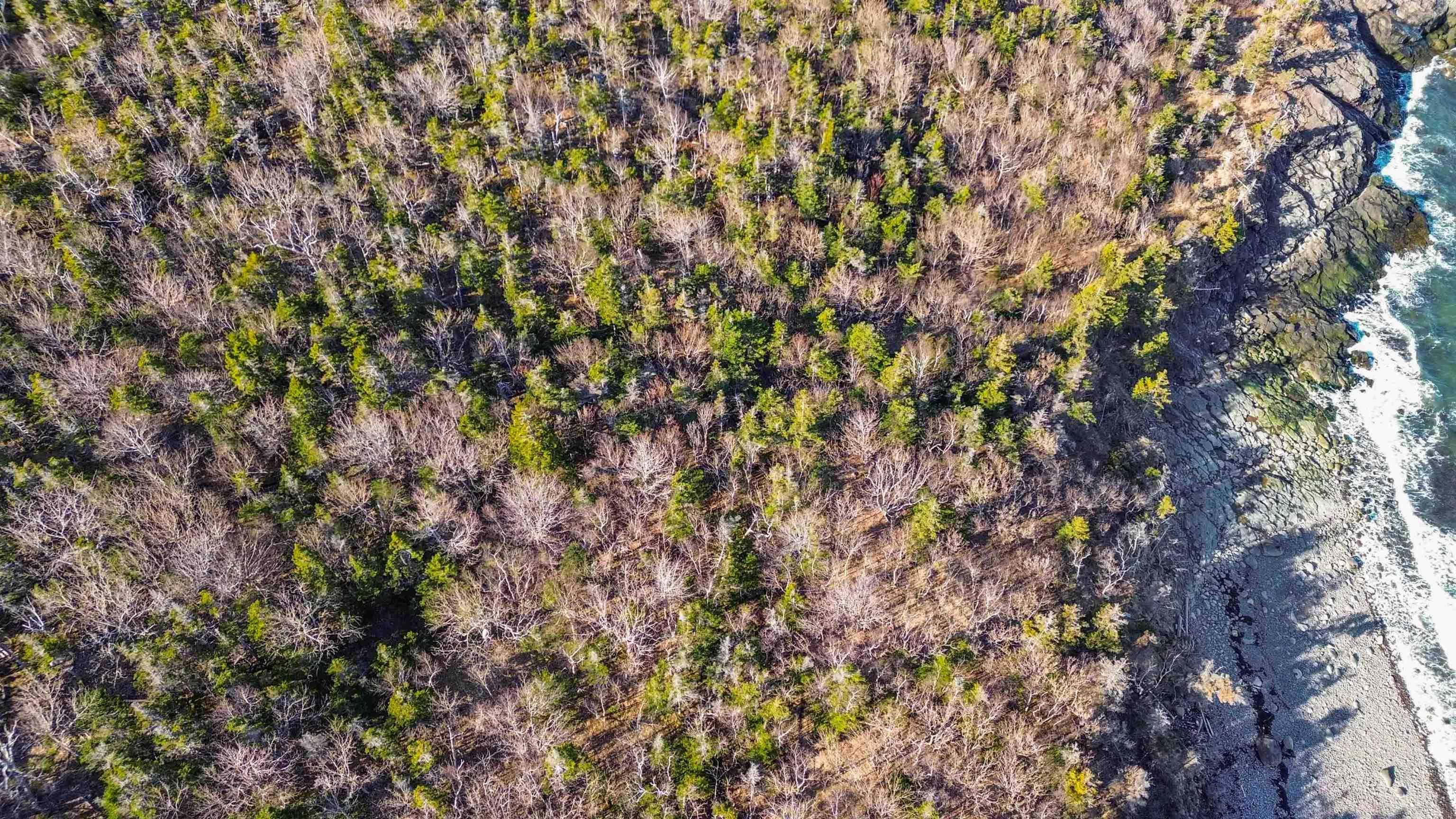 $59,500.00: Lot 9 Bay View Lane, Culloden