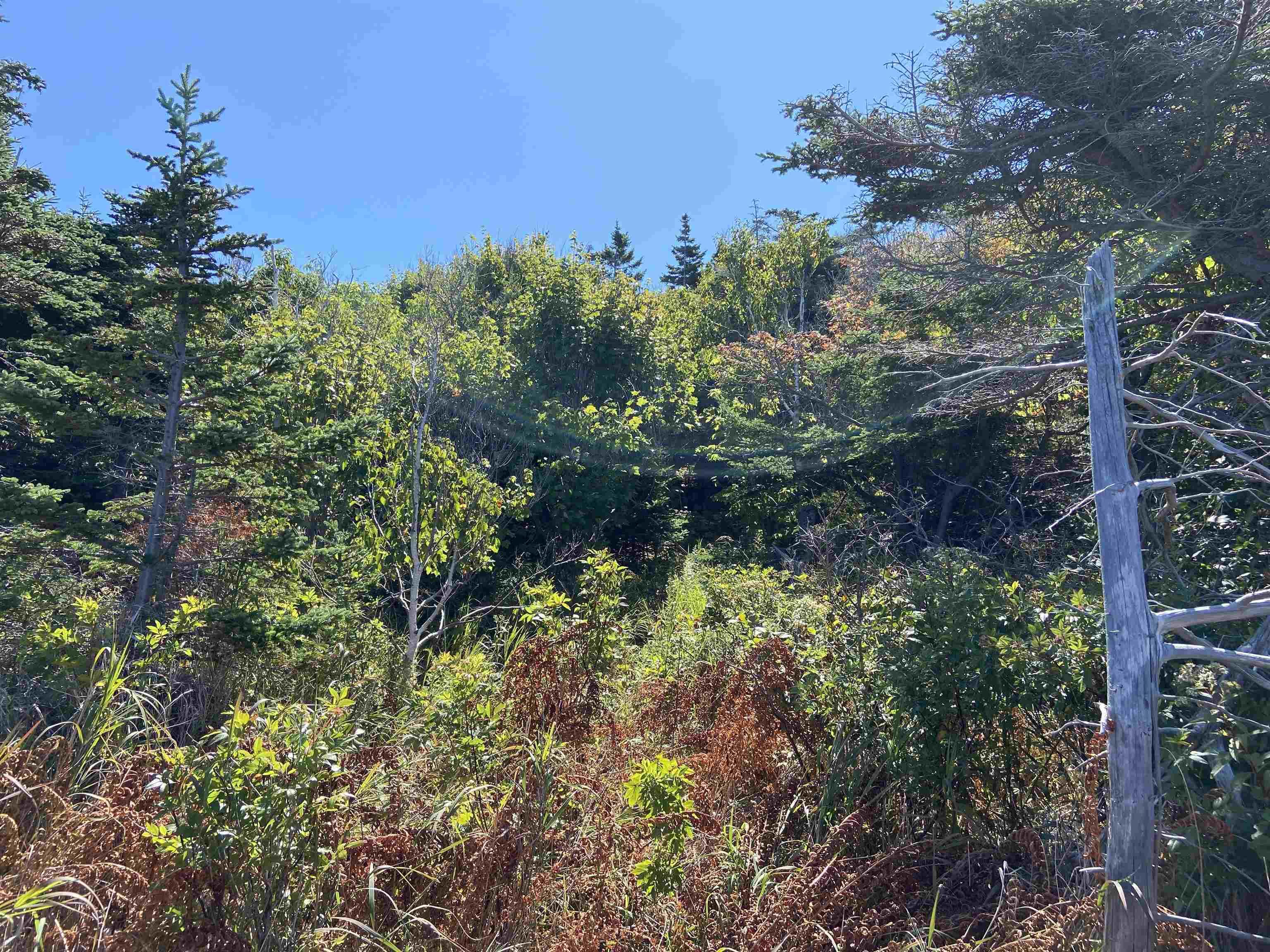 $59,500.00: Lot 9 Bay View Lane, Culloden