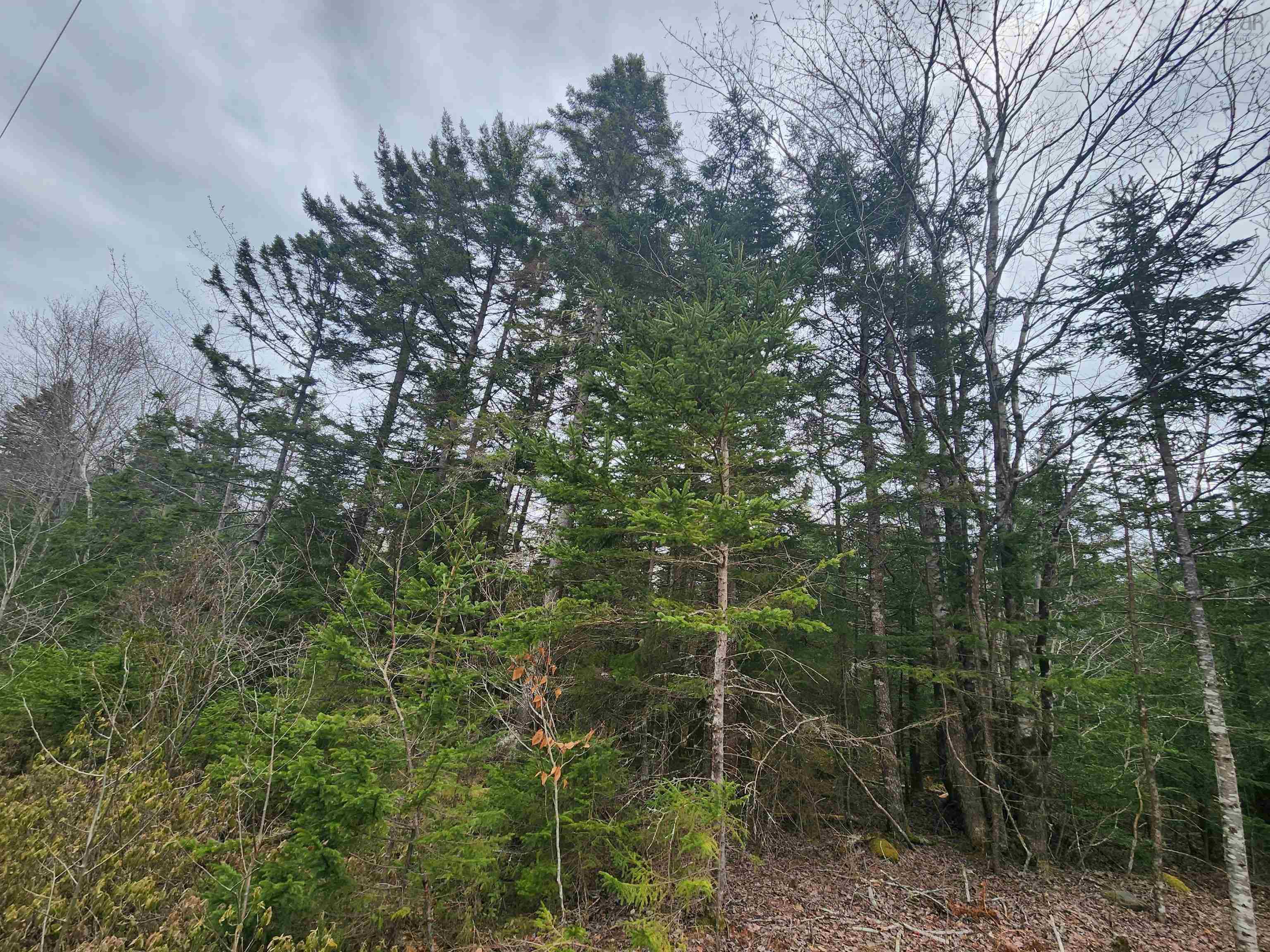 $37,500.00: Lot Highway 340, Pleasant Valley