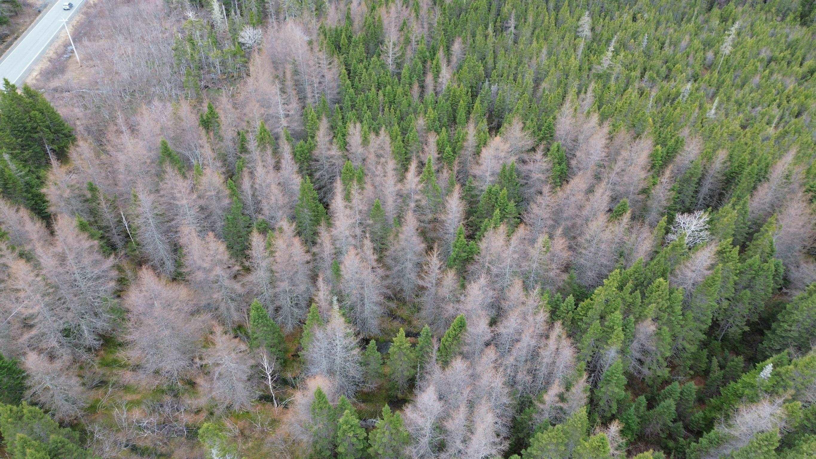 $29,000.00: Lot 395 Highway, Ainslie Glen