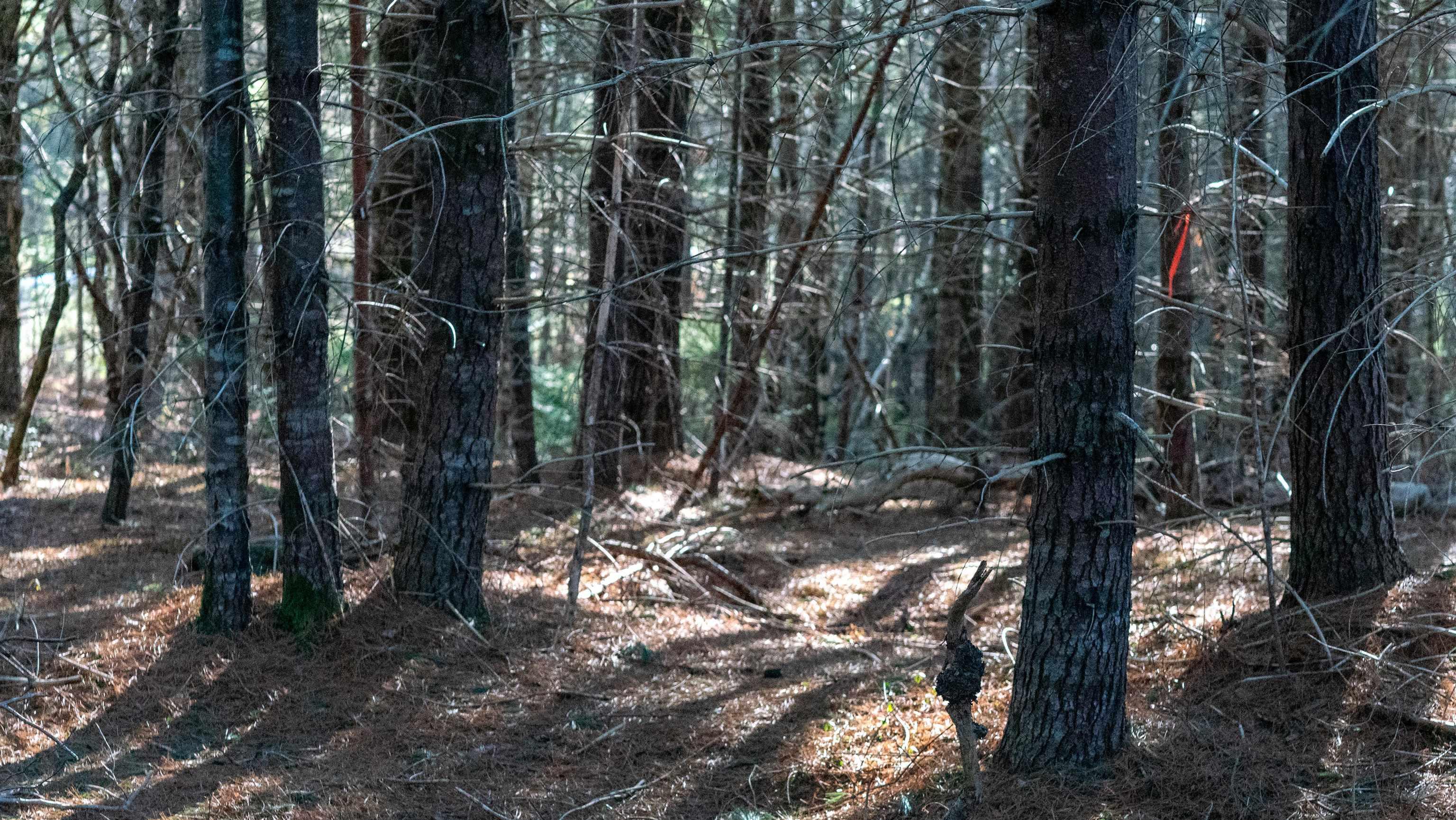 $46,500.00: Lot SS-1 Maple Drive, Lower Ohio