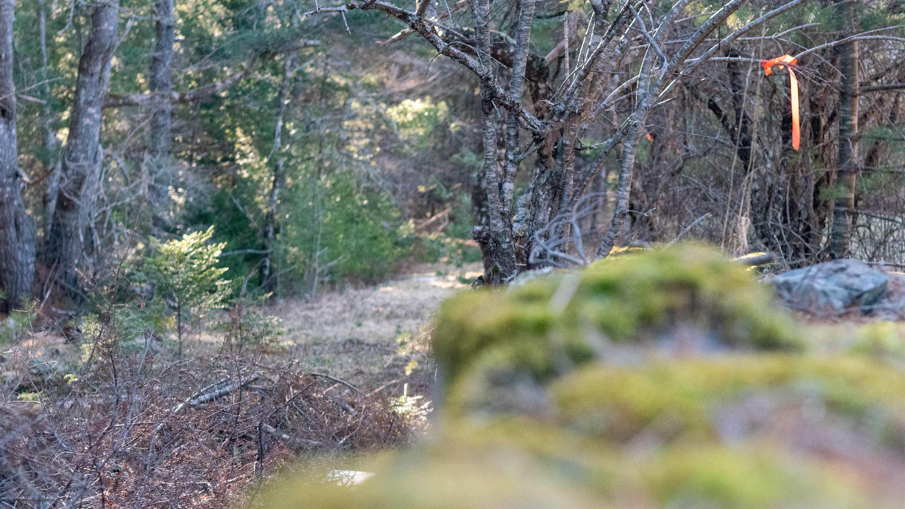 $46,500.00: Lot SS-1 Maple Drive, Lower Ohio