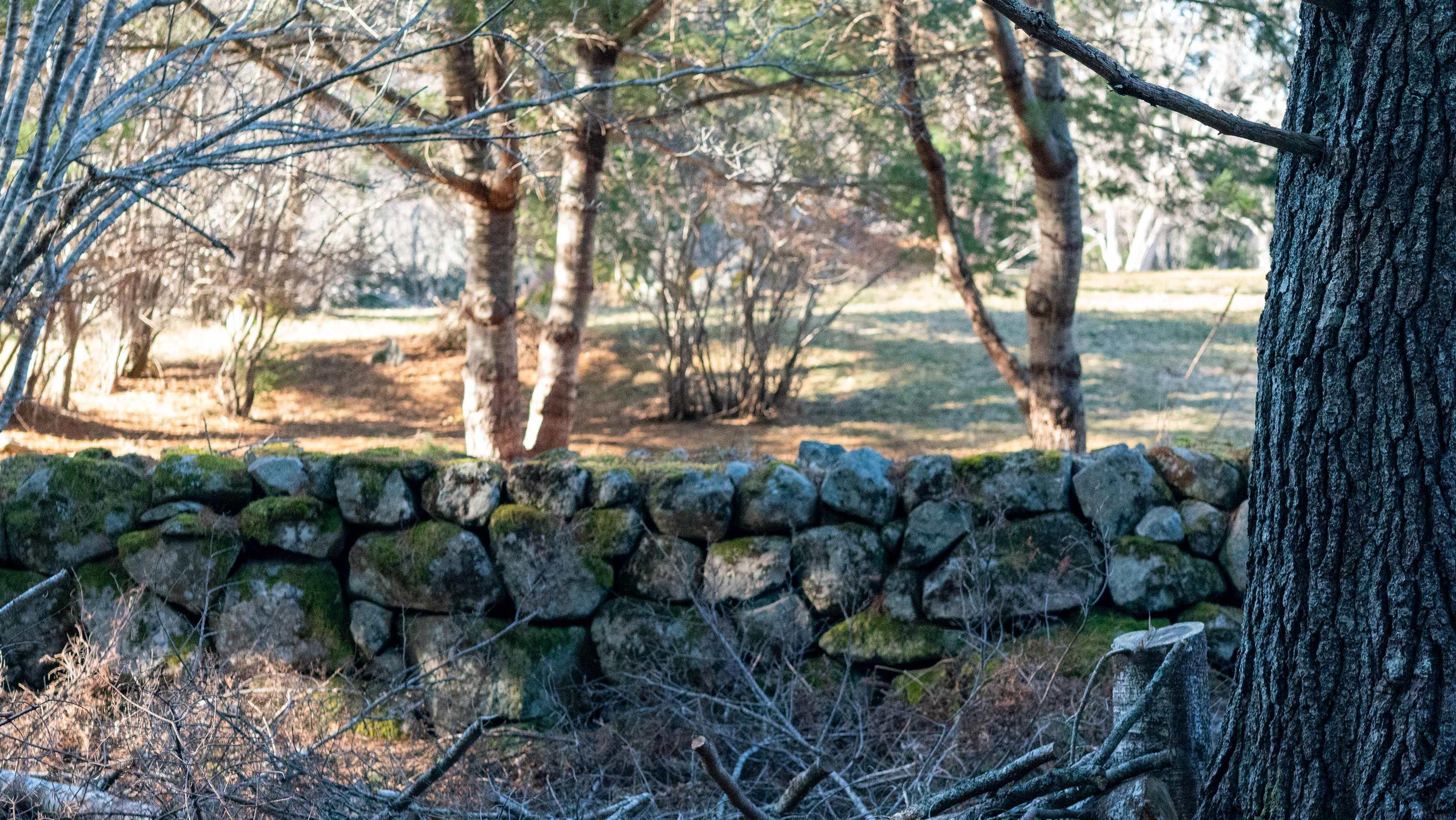 $46,500.00: Lot SS-1 Maple Drive, Lower Ohio