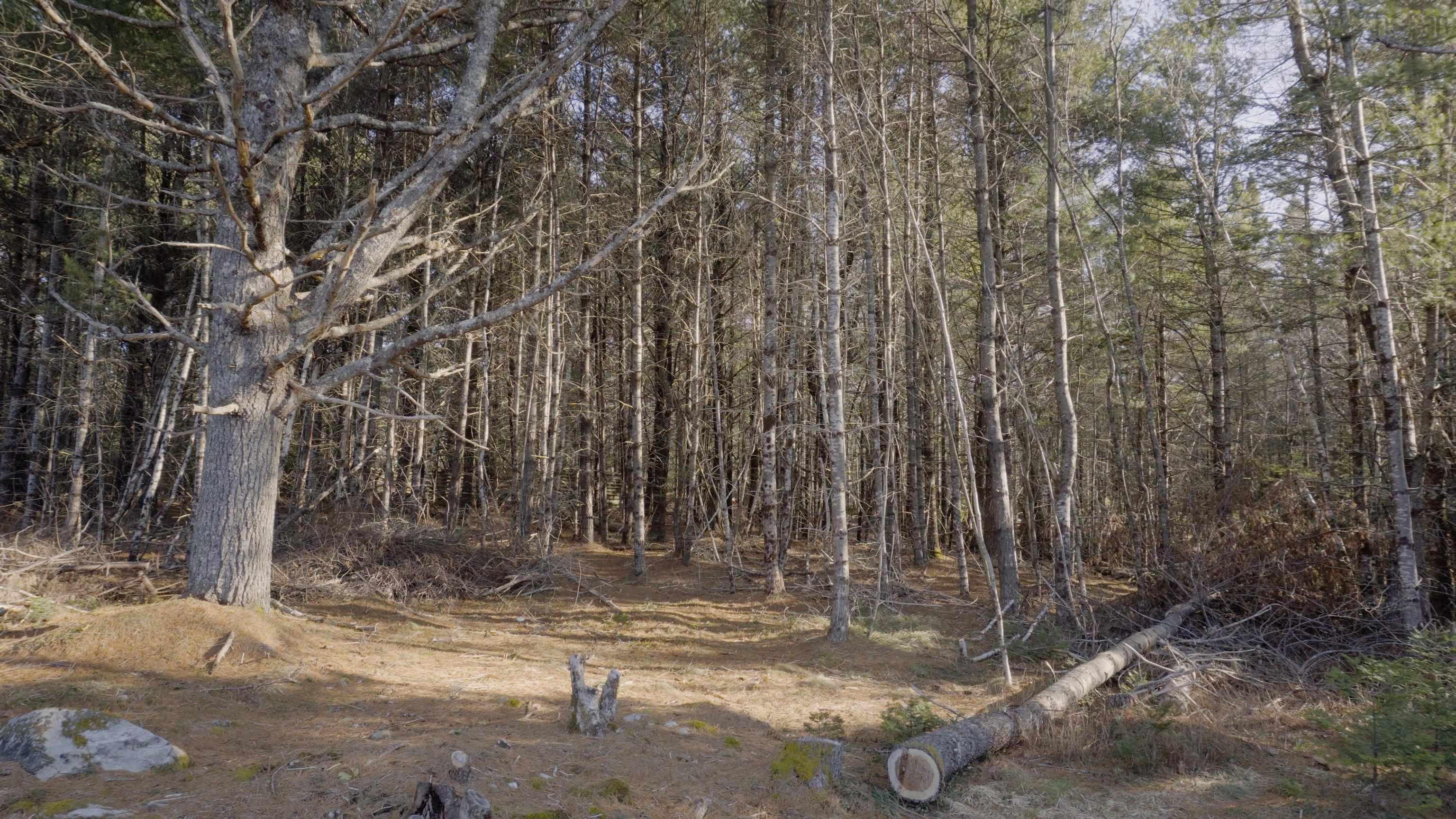 $46,500.00: Lot SS-1 Maple Drive, Lower Ohio