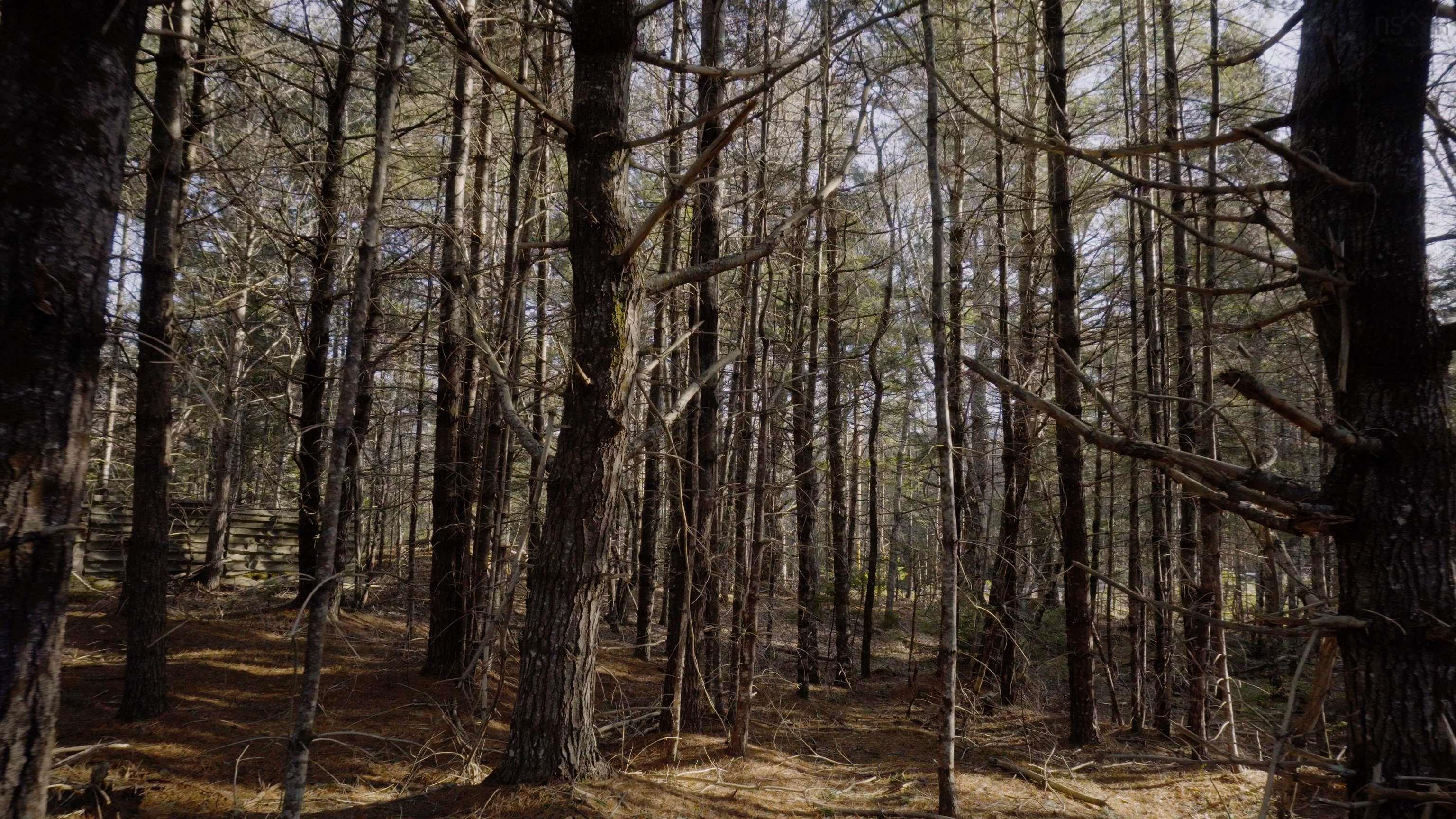 $46,500.00: Lot SS-1 Maple Drive, Lower Ohio