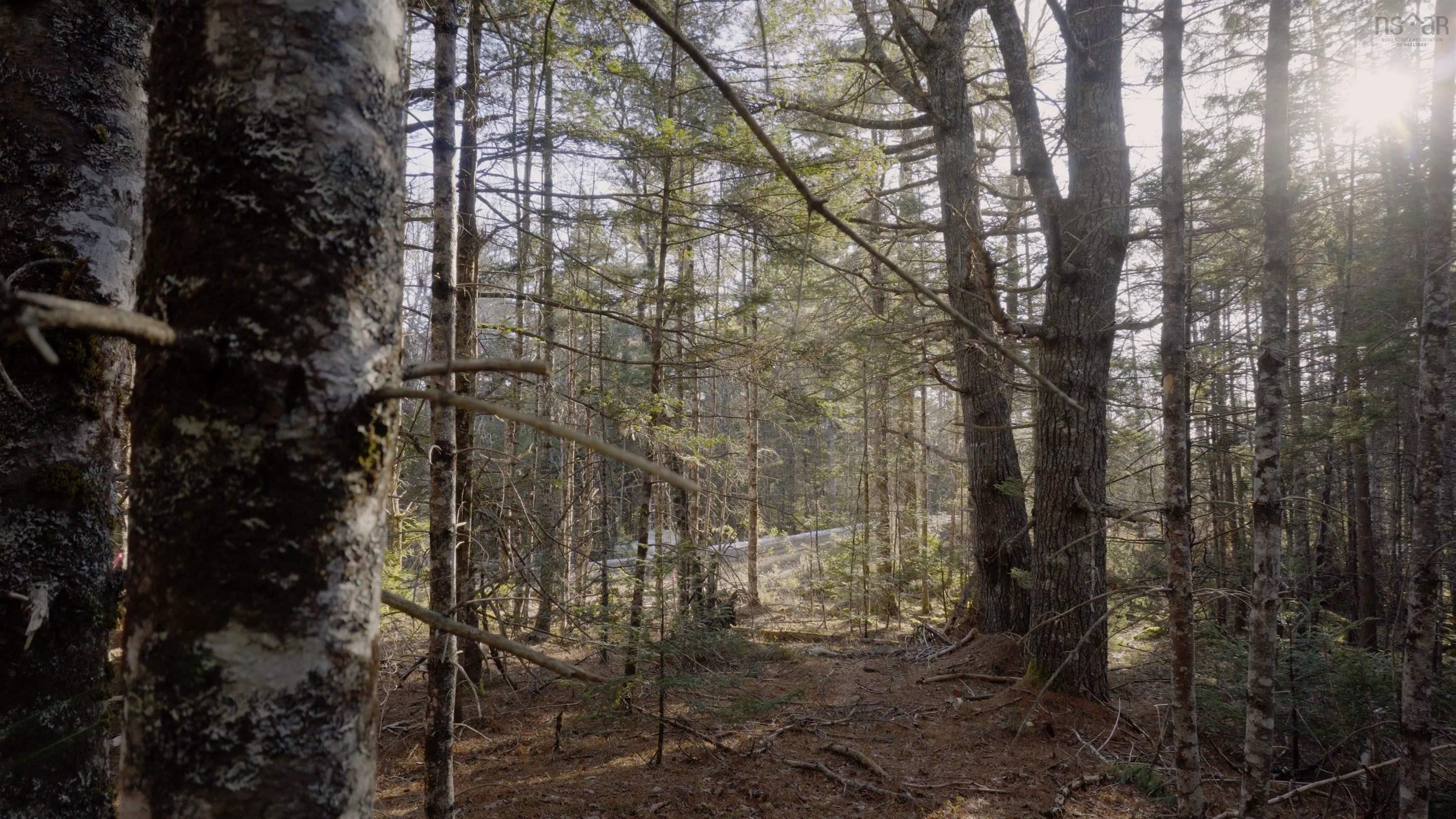 $46,500.00: Lot SS-1 Maple Drive, Lower Ohio