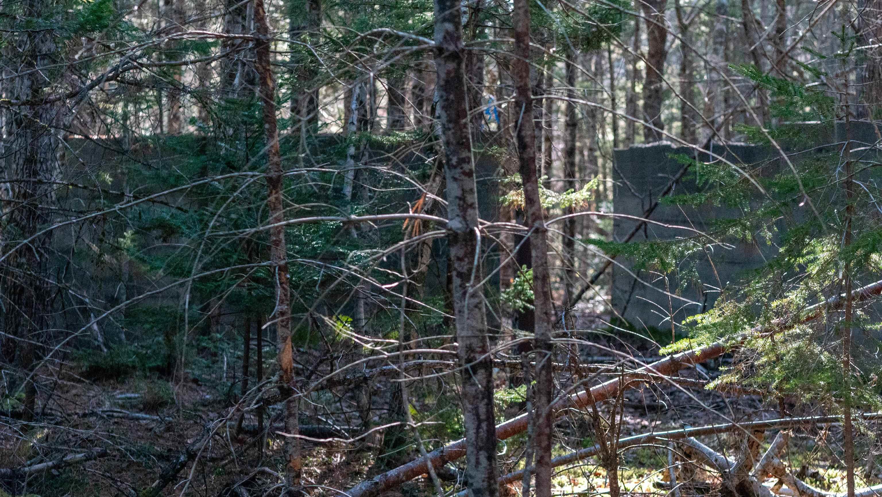 $46,500.00: Lot SS-1 Maple Drive, Lower Ohio