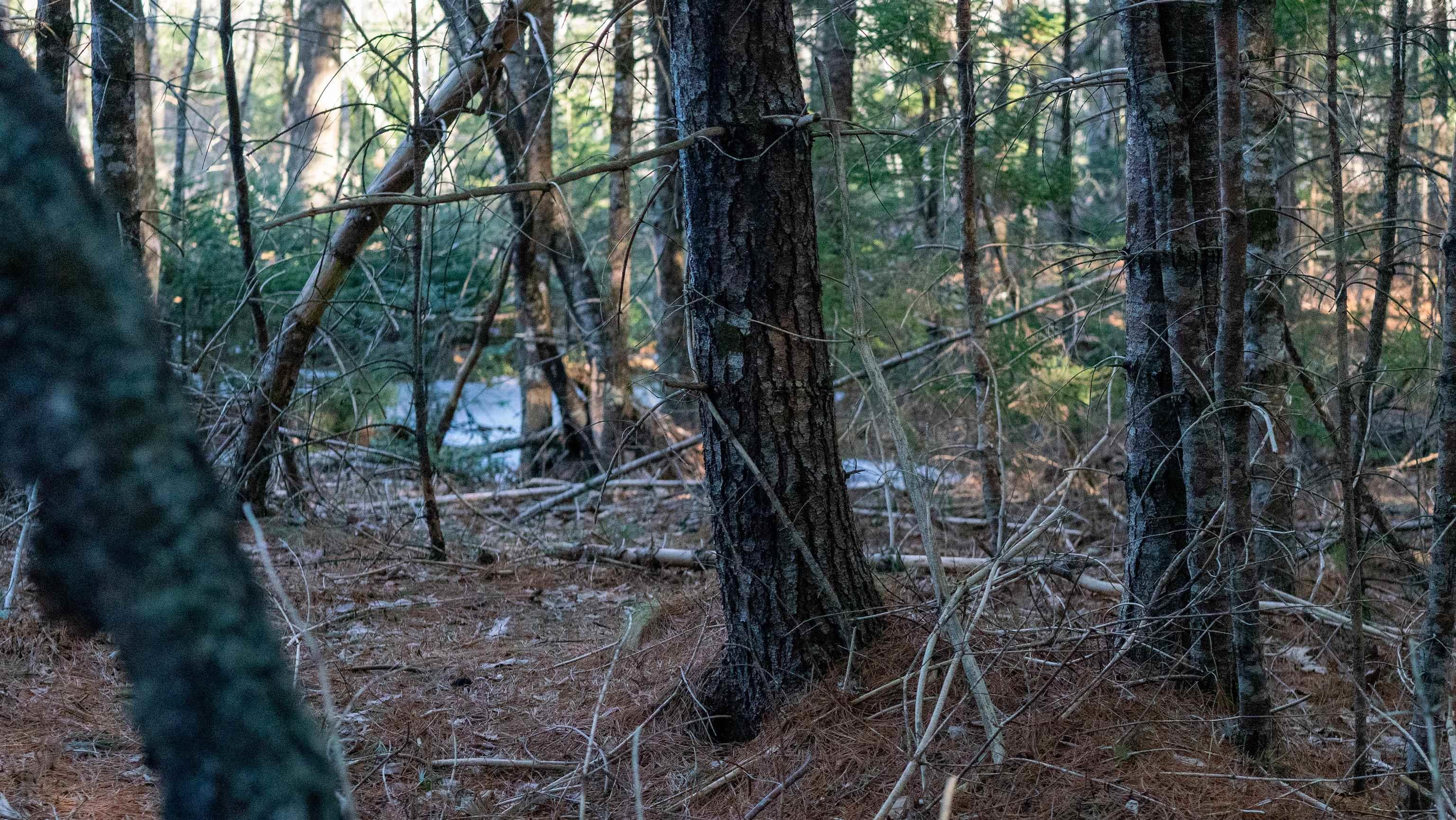 $46,500.00: Lot SS-1 Maple Drive, Lower Ohio