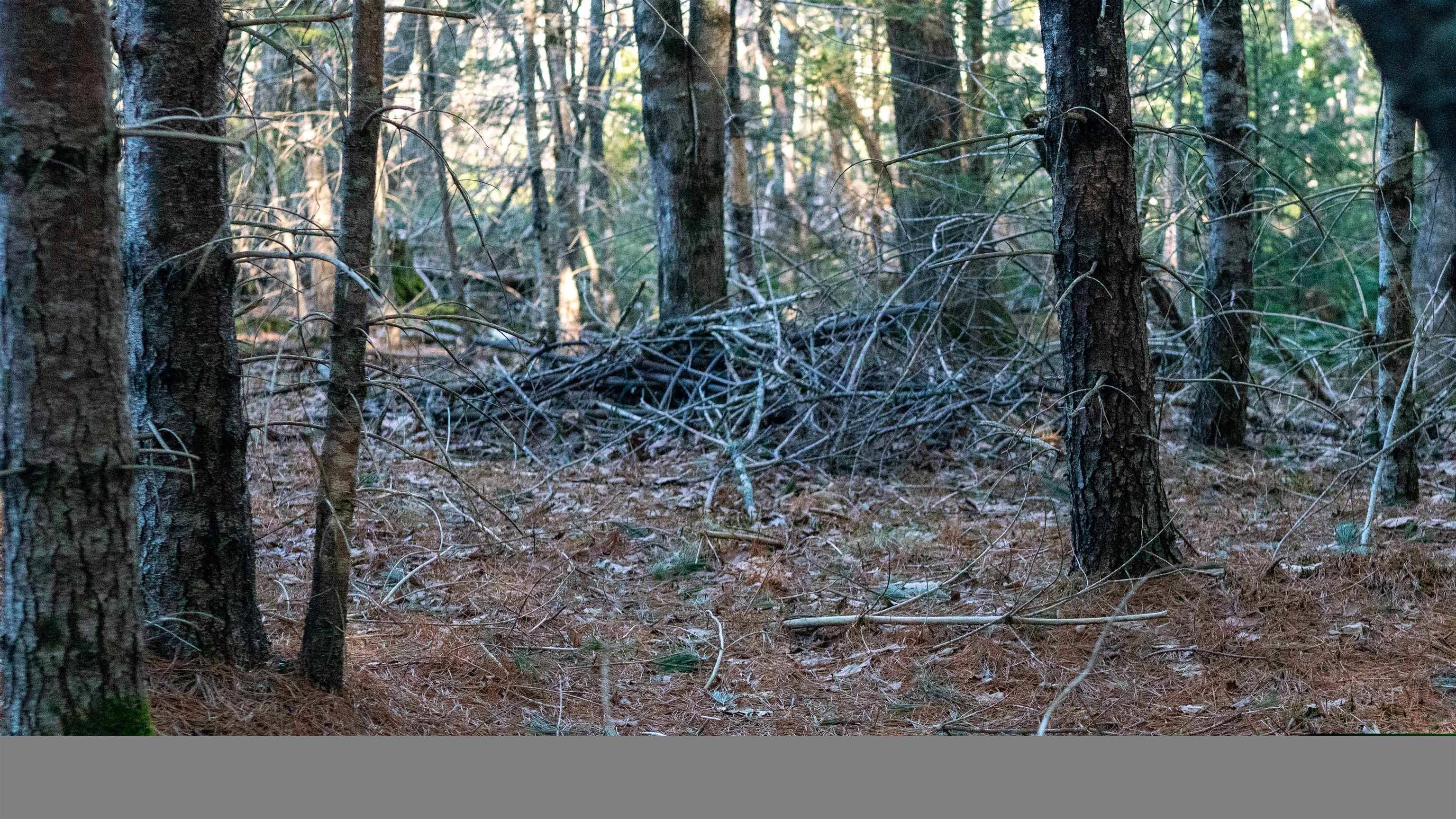 $46,500.00: Lot SS-1 Maple Drive, Lower Ohio