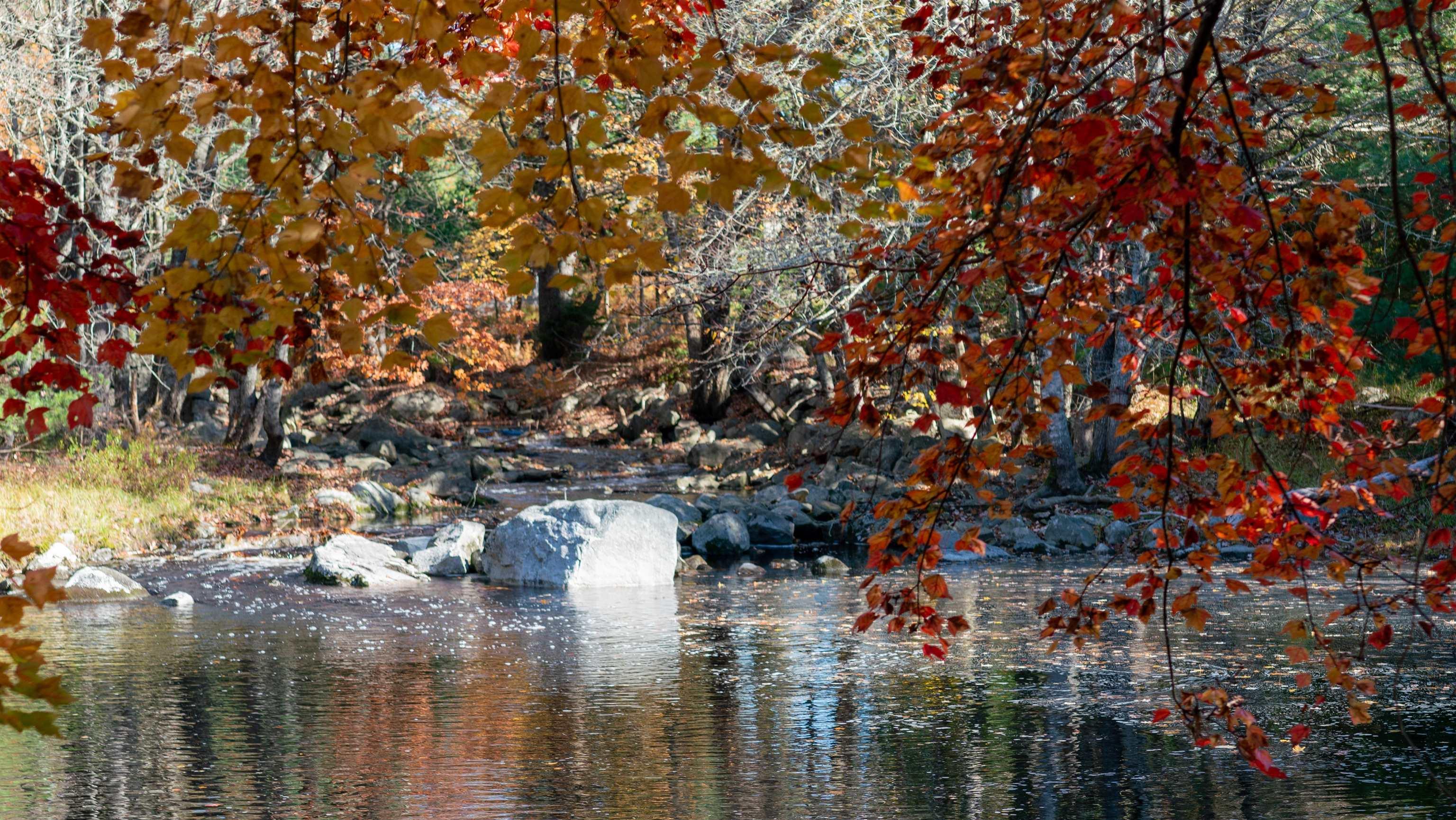 $82,500.00: Lot SS-2 Maple Drive, Lower Ohio