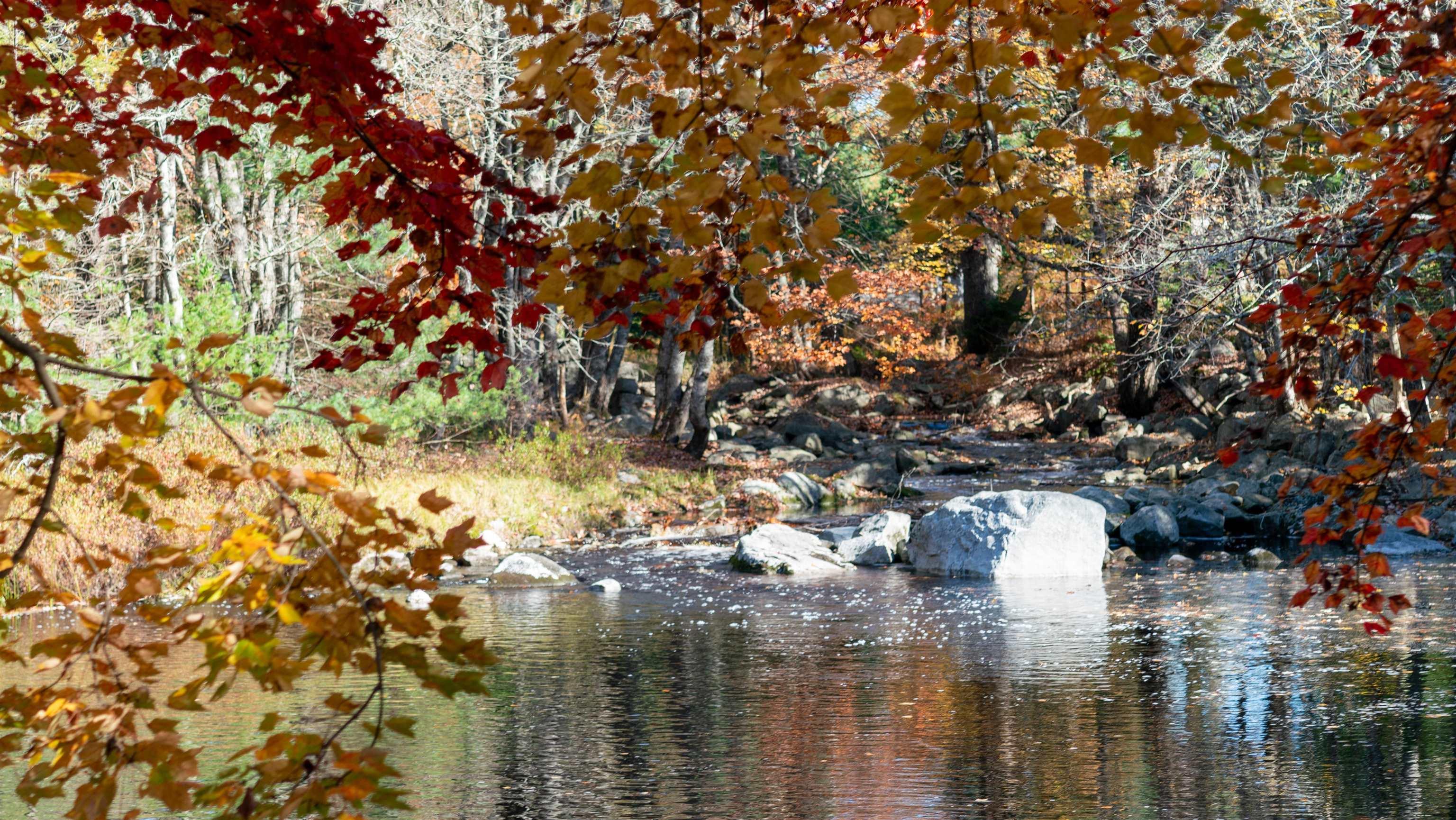 $82,500.00: Lot SS-2 Maple Drive, Lower Ohio