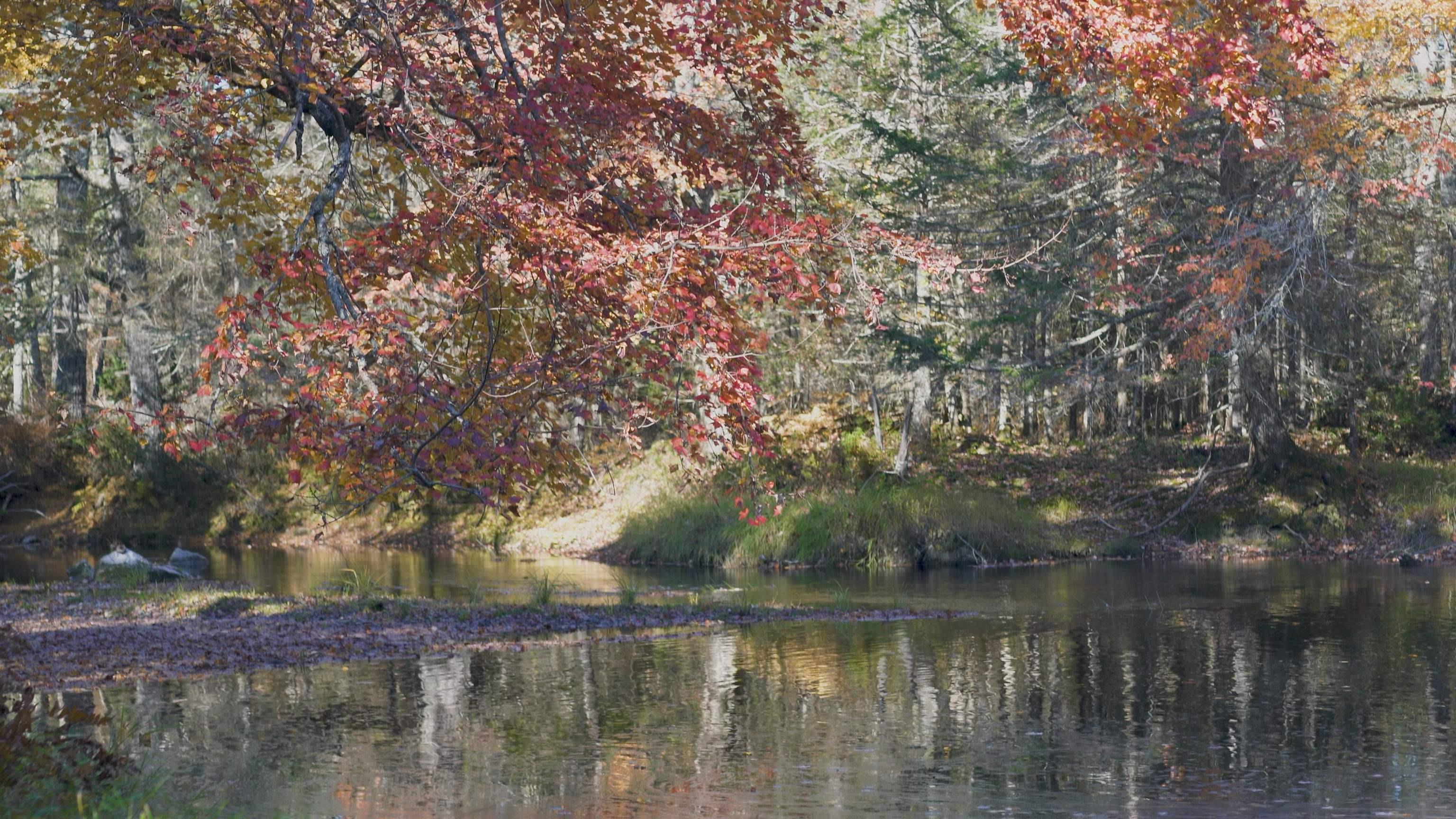 $82,500.00: Lot SS-2 Maple Drive, Lower Ohio