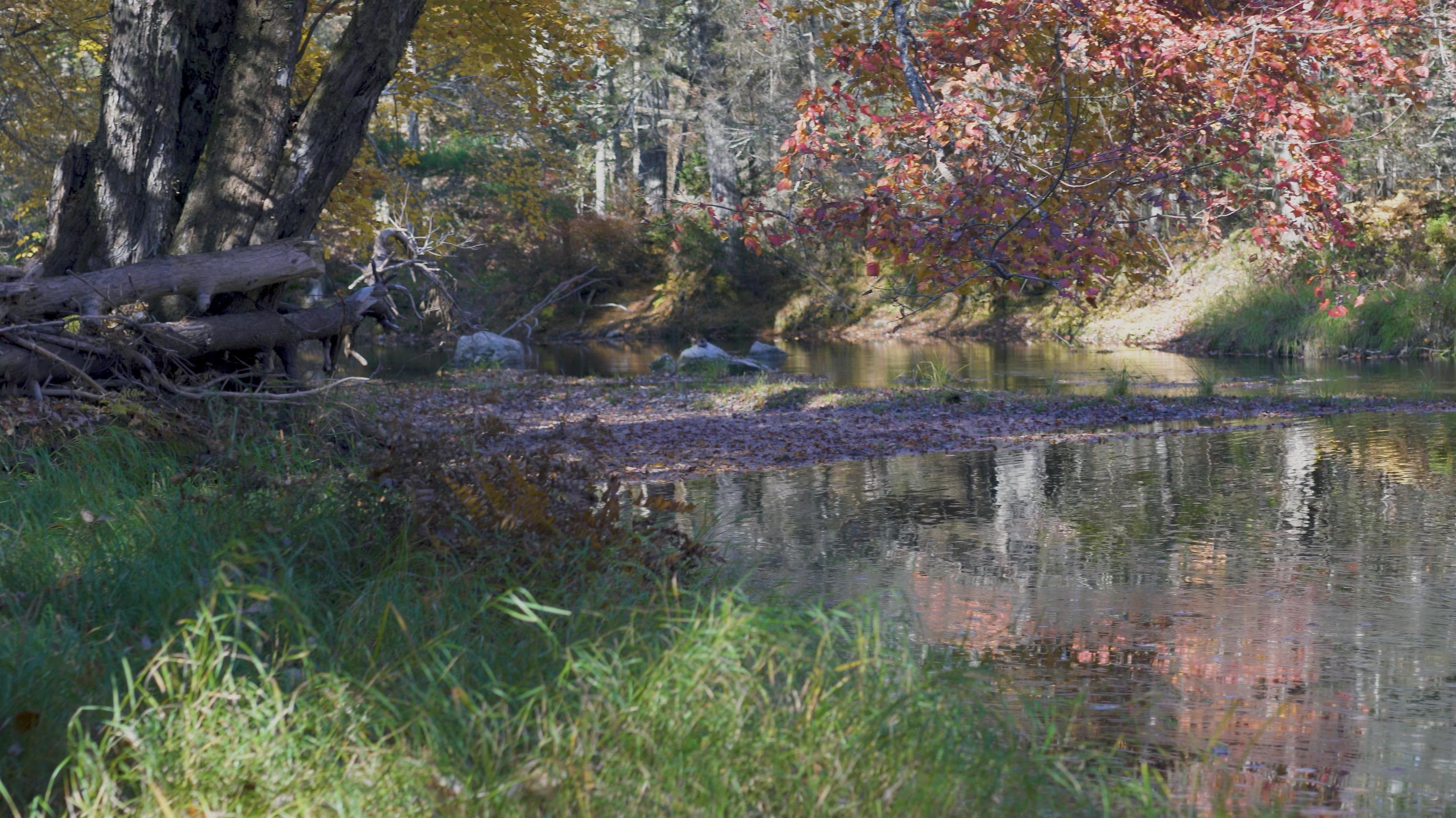 $82,500.00: Lot SS-2 Maple Drive, Lower Ohio